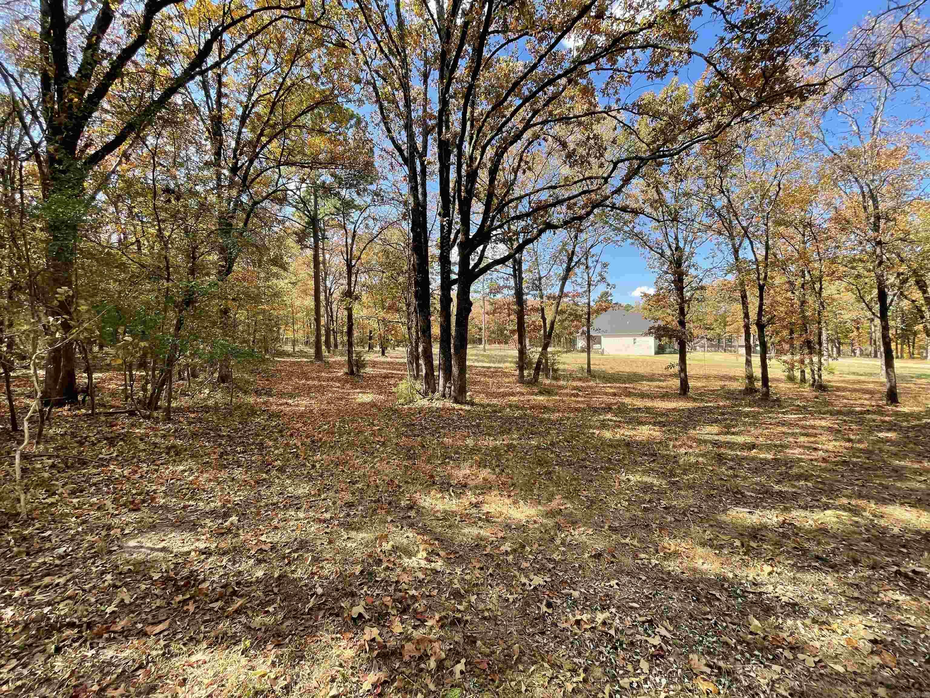 Round Mountain - Land