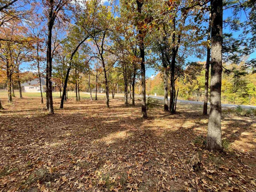 1.5 Acre lot located on Mill Pond Loop on Round Mountain in Conway. Conway Corp Utilities and Conway Schools.  Quiet area between Cresthaven and Orchard Hill. This gorgeous lot is surrounded by beautiful newer homes. Provides a serene setting for your dream home.