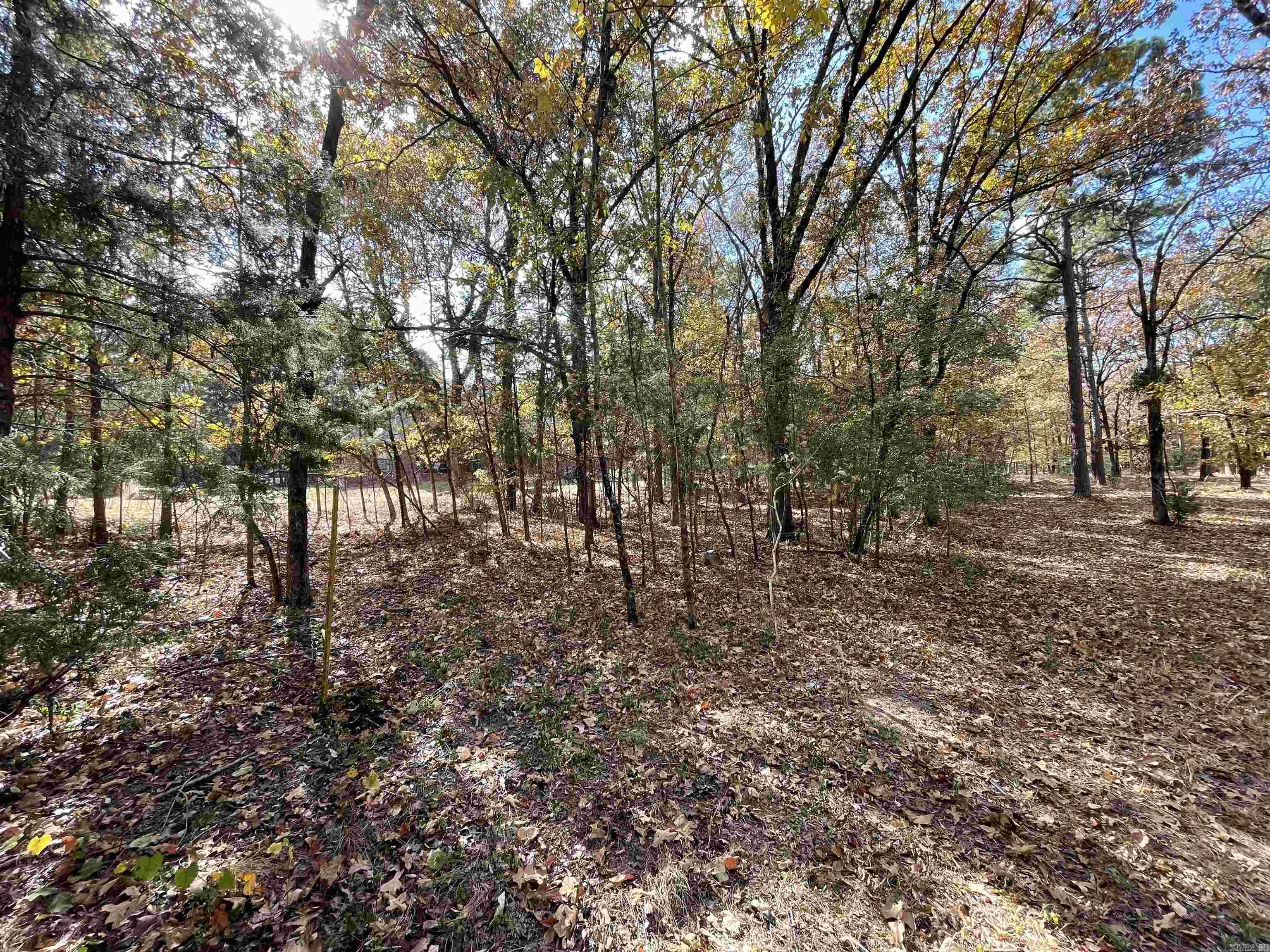 Round Mountain - Land