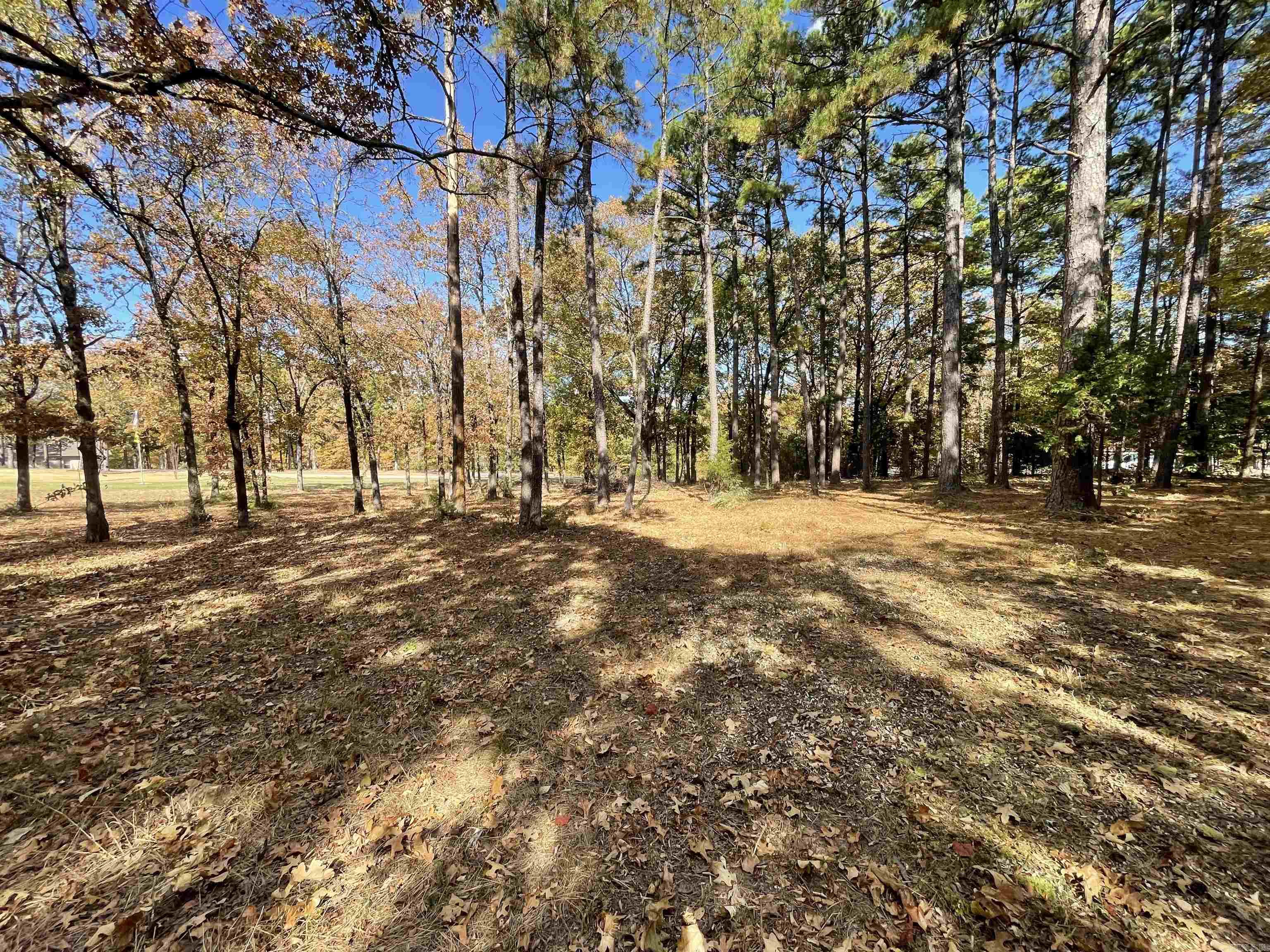 Round Mountain - Land