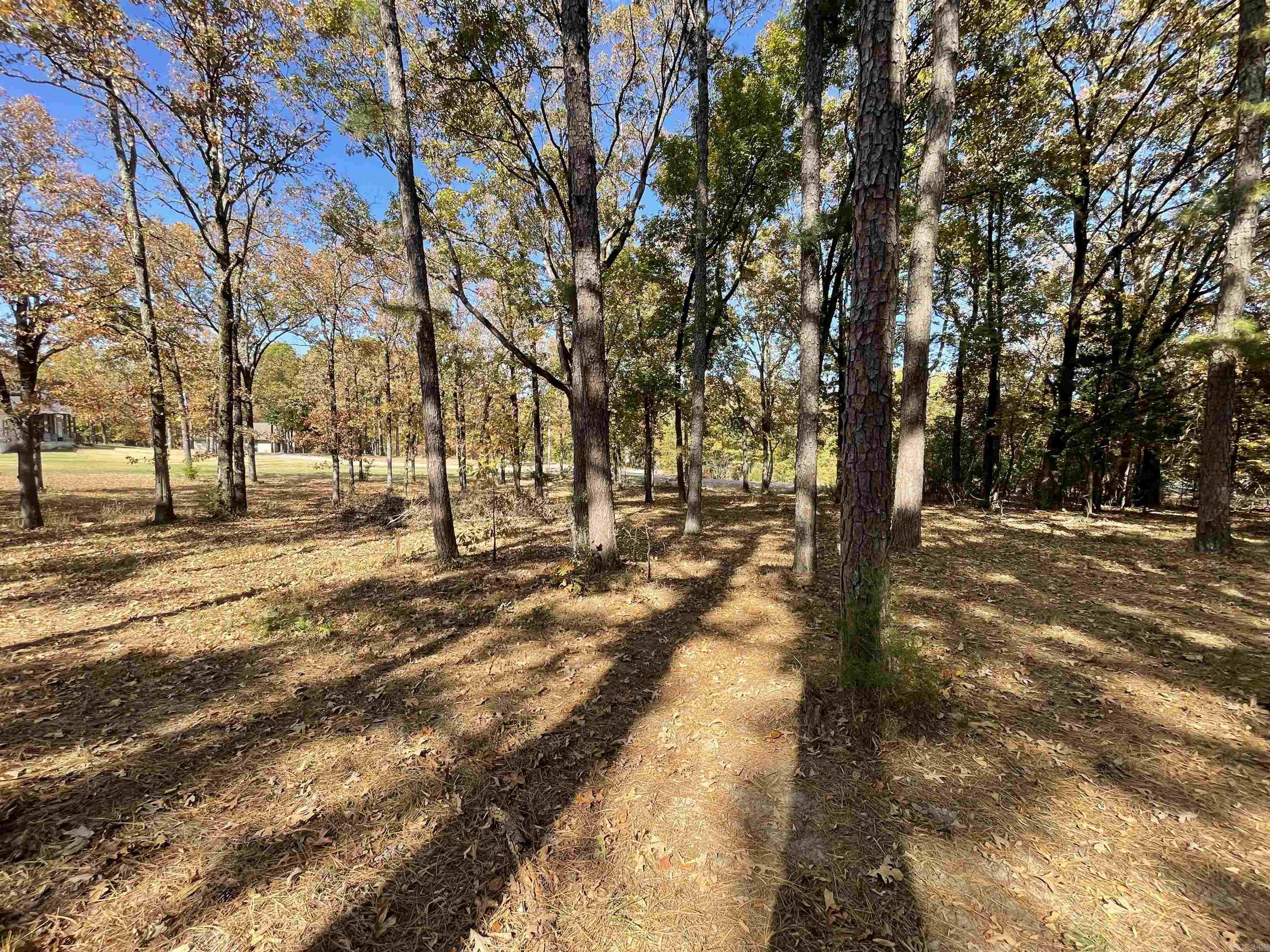 Round Mountain - Land