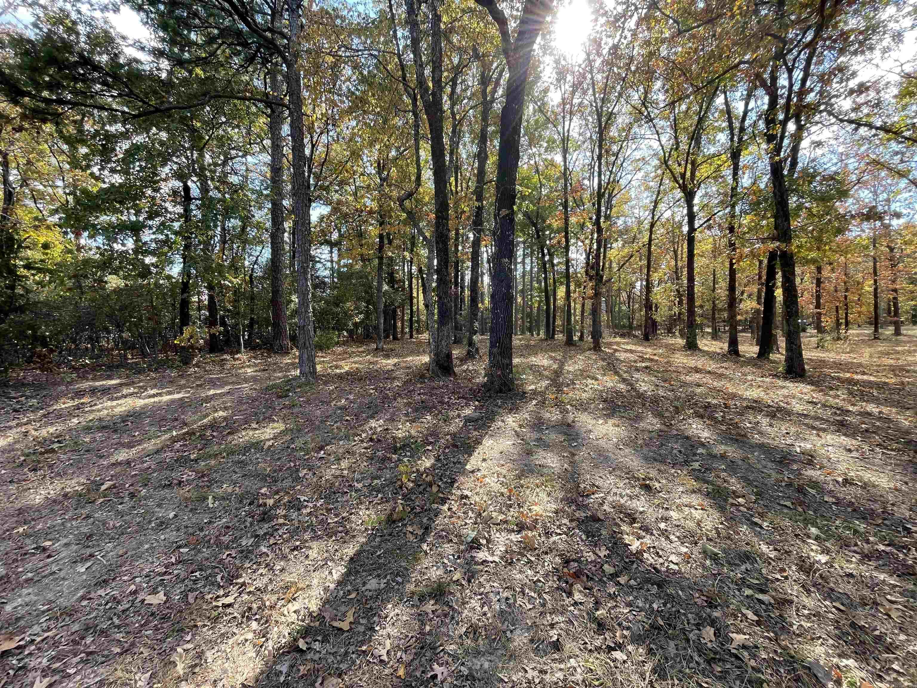 Round Mountain - Land