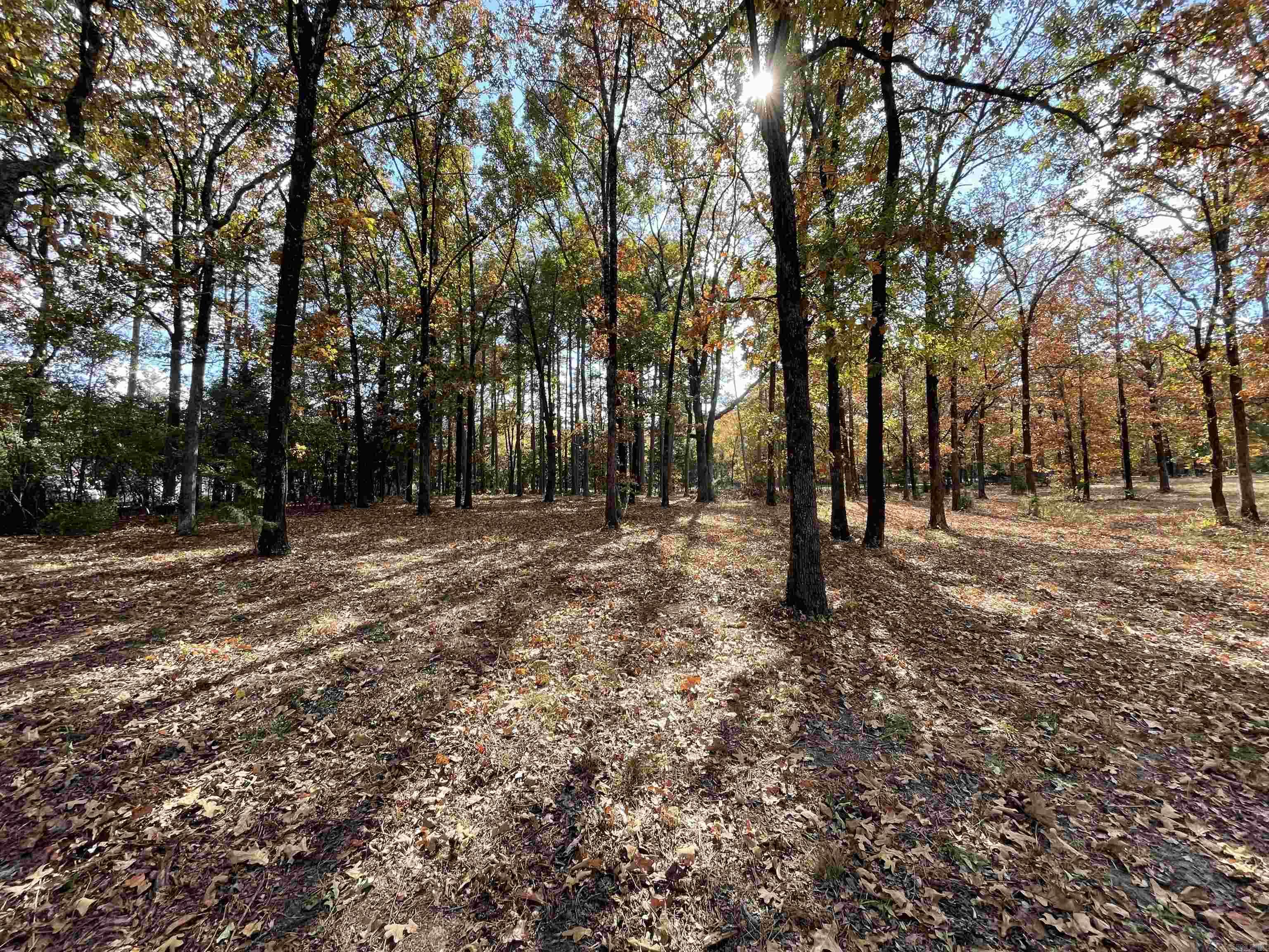 Round Mountain - Land