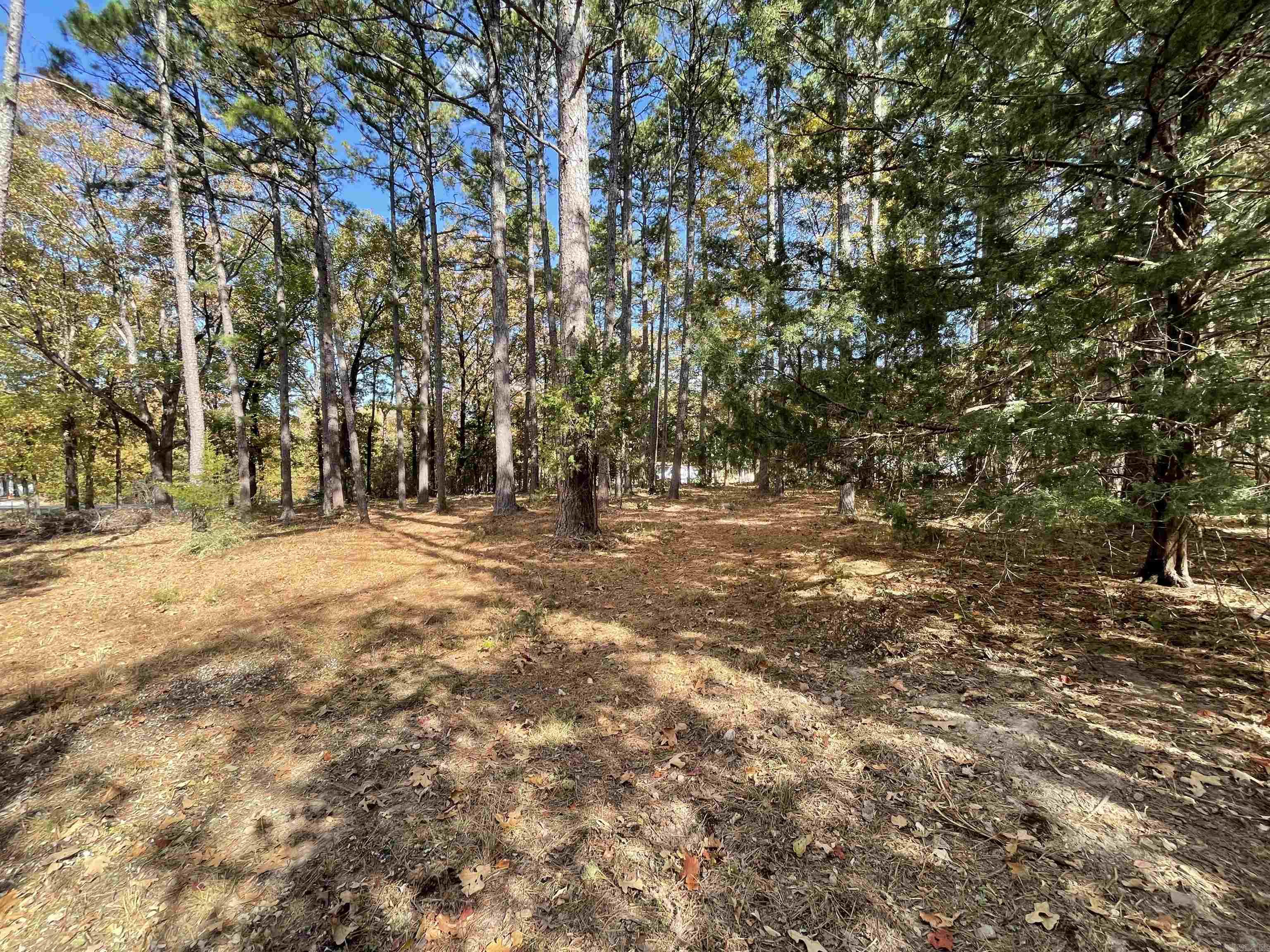 Round Mountain - Land