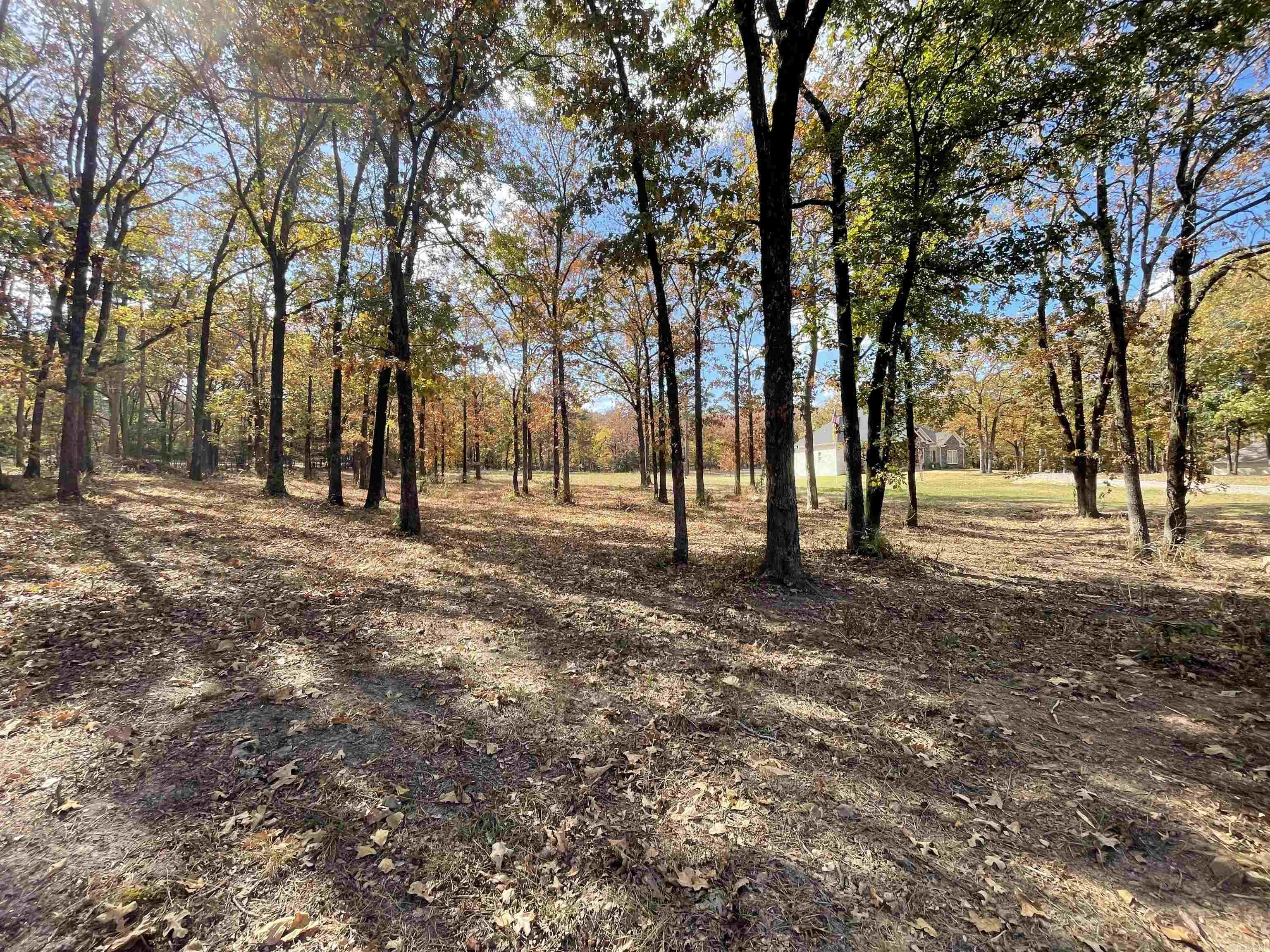 Round Mountain - Land