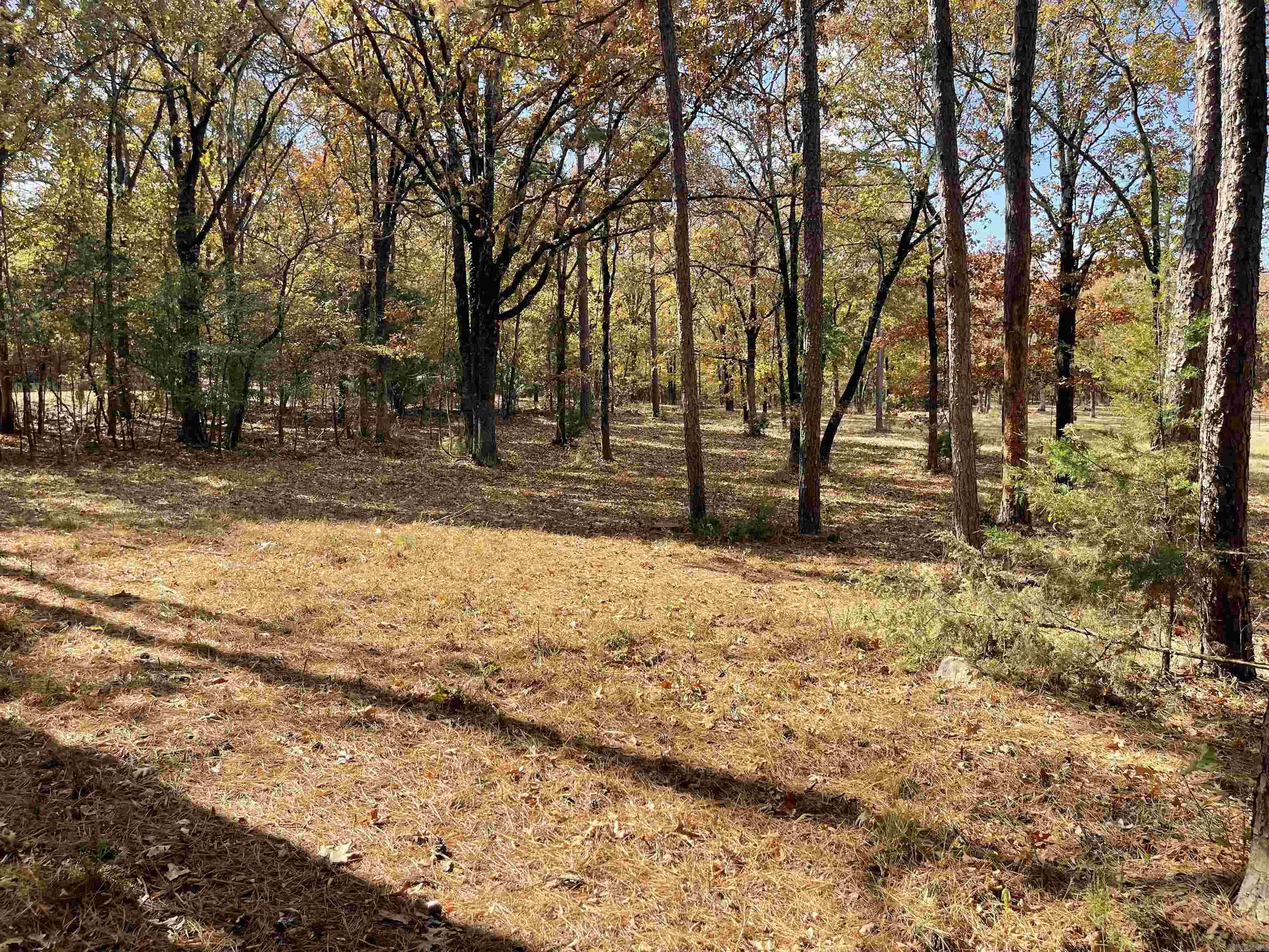 Round Mountain - Land