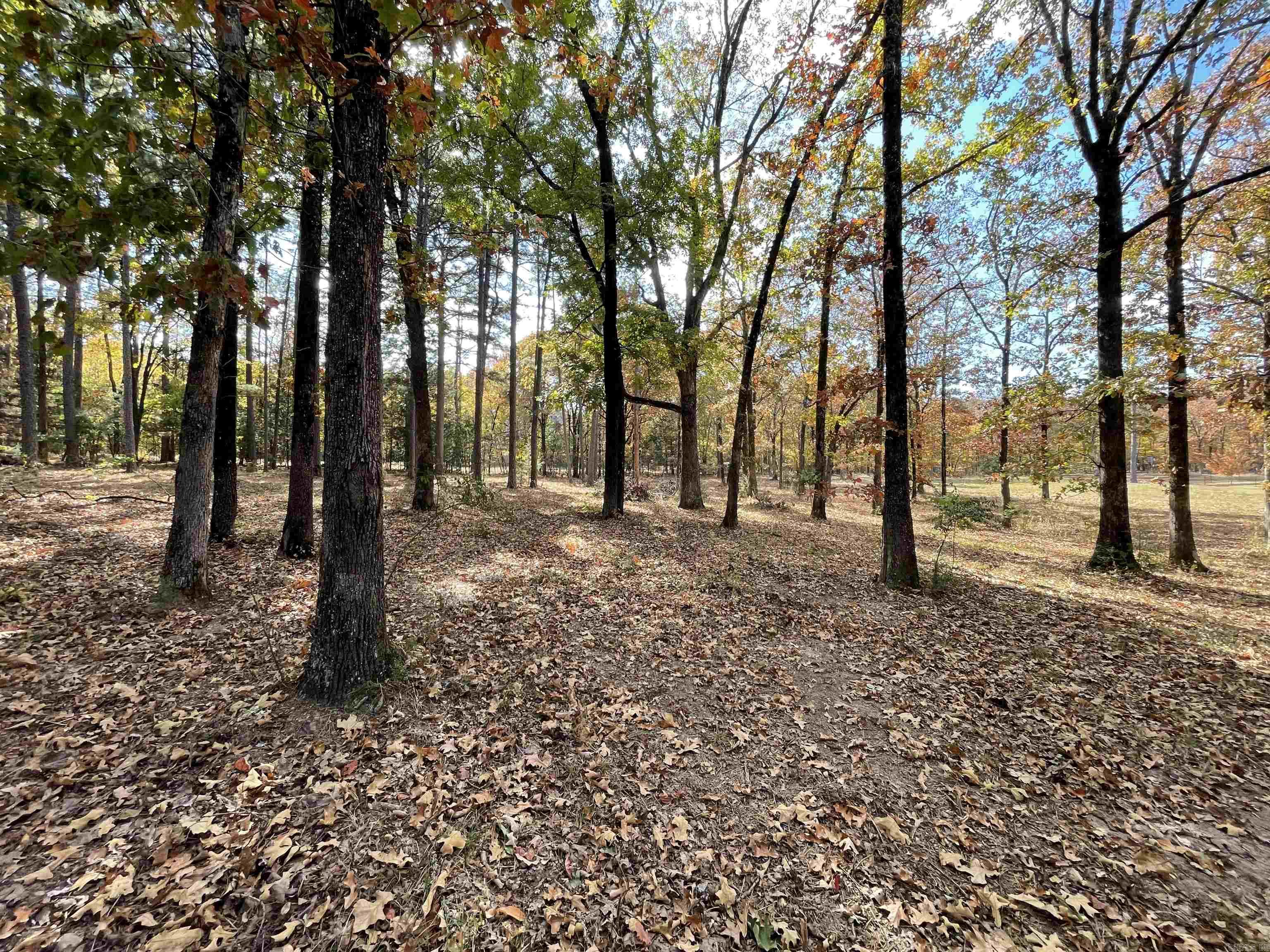 Round Mountain - Land