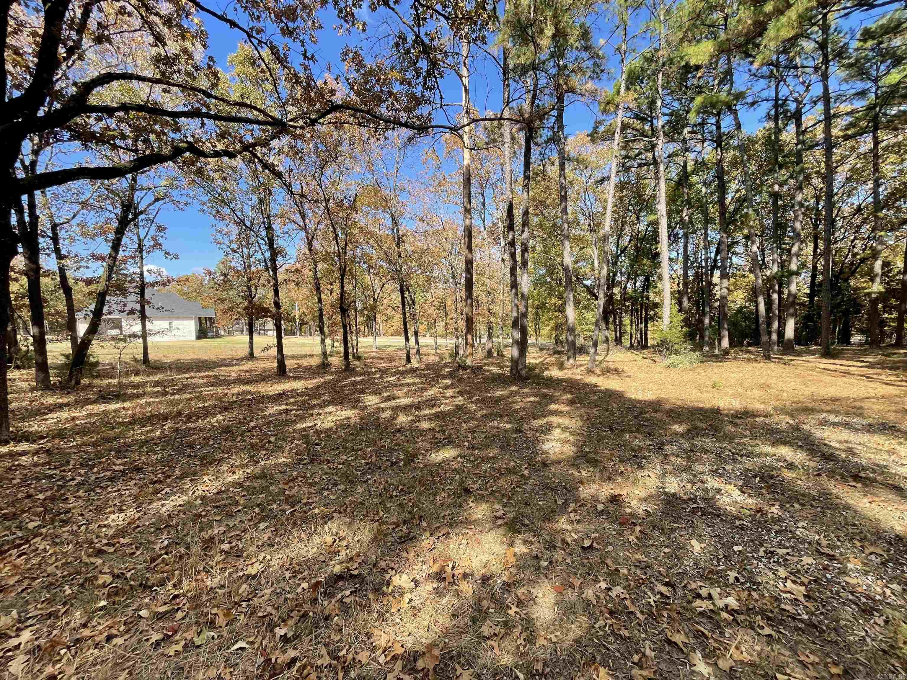 Round Mountain - Land