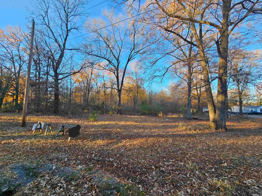 Looking for a Beautiful Wooded 5 acres that is build ready or Mobile Home Ready - This is it! No restrictions and water, electric and septic ready. The septic will need to be inspected (see agent remarks) and 2 wells (will need to be inspected). No sellers disclosure as seller has not occupied the land.