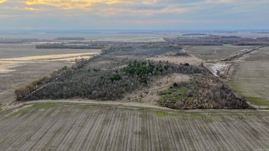 Hunting and Recreation Property in the Arkansas Delta!  This is Flyway Central in Monroe County-the Heart of the Arkansas Delta.  With eighty (80) acres of formerly farmed wetlands that are now under conservation easement.  This area-between White River Tributaries Big Cypress Creek and Big Slash-is well known for hunting deer, ducks, and geese.  The reason is apparent-as the habitat in the area is superb.  What is not wetland is tillable acreage presenting "free forage" for the owner of this property.  The property's habitat is maturing into ideal wetlands.  World renowned Dale Bumpers White River Refuge is minutes away.  Properties of this size and affordability in this area are rare-do not miss this opportunity.