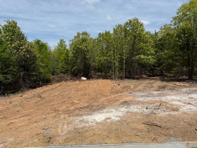 SUMMERLYN SUBDIVISION - Residential