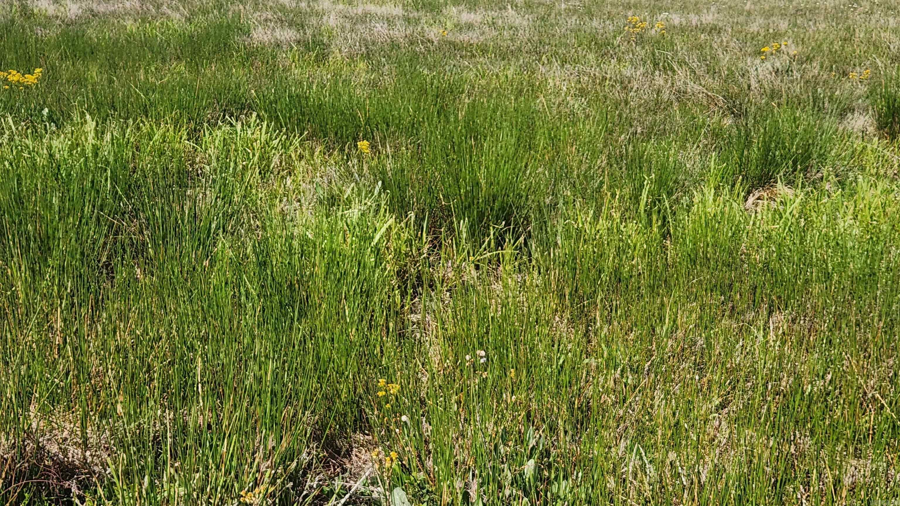 REVAS RETREAT - Land