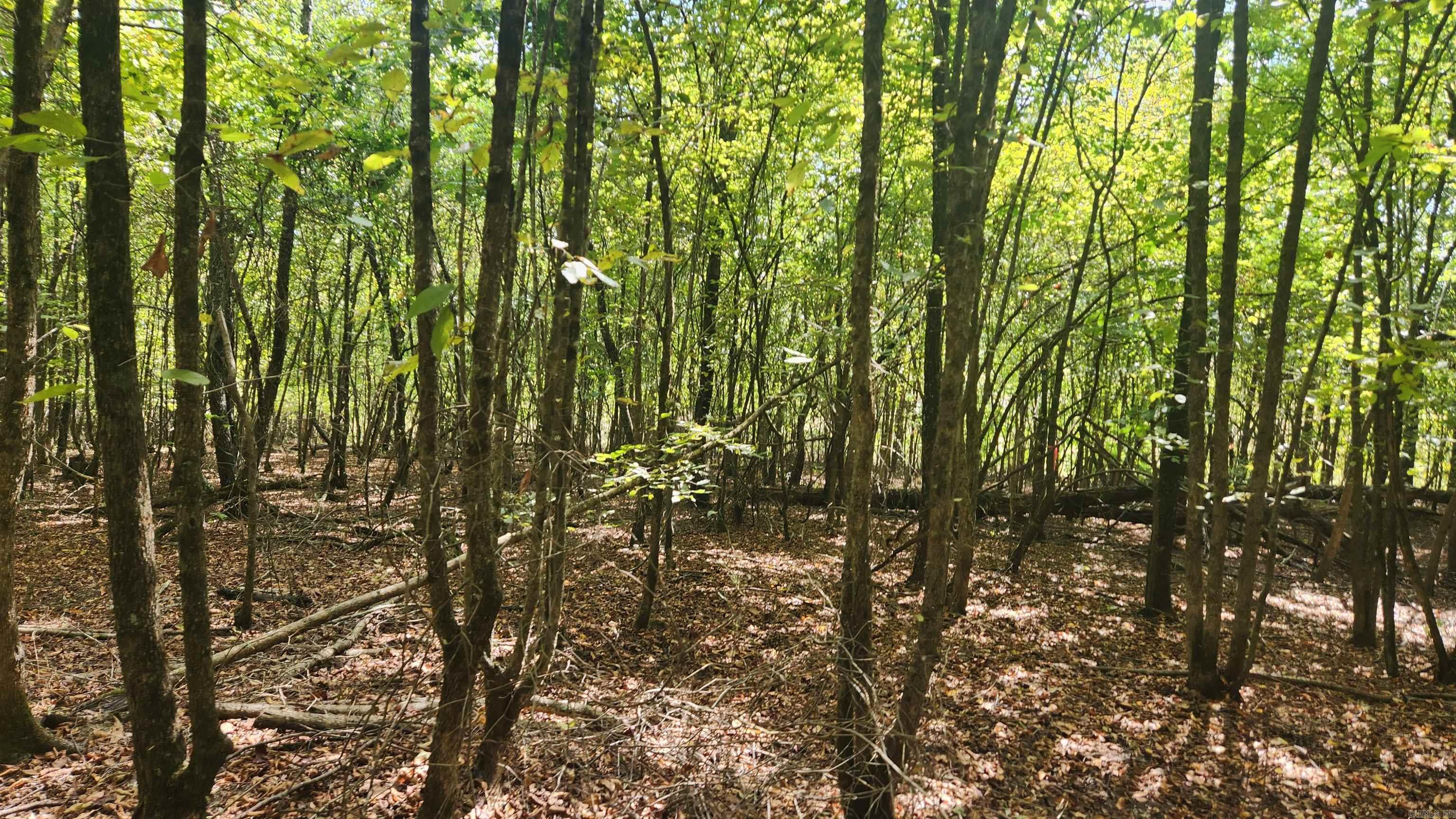 REVAS RETREAT - Land