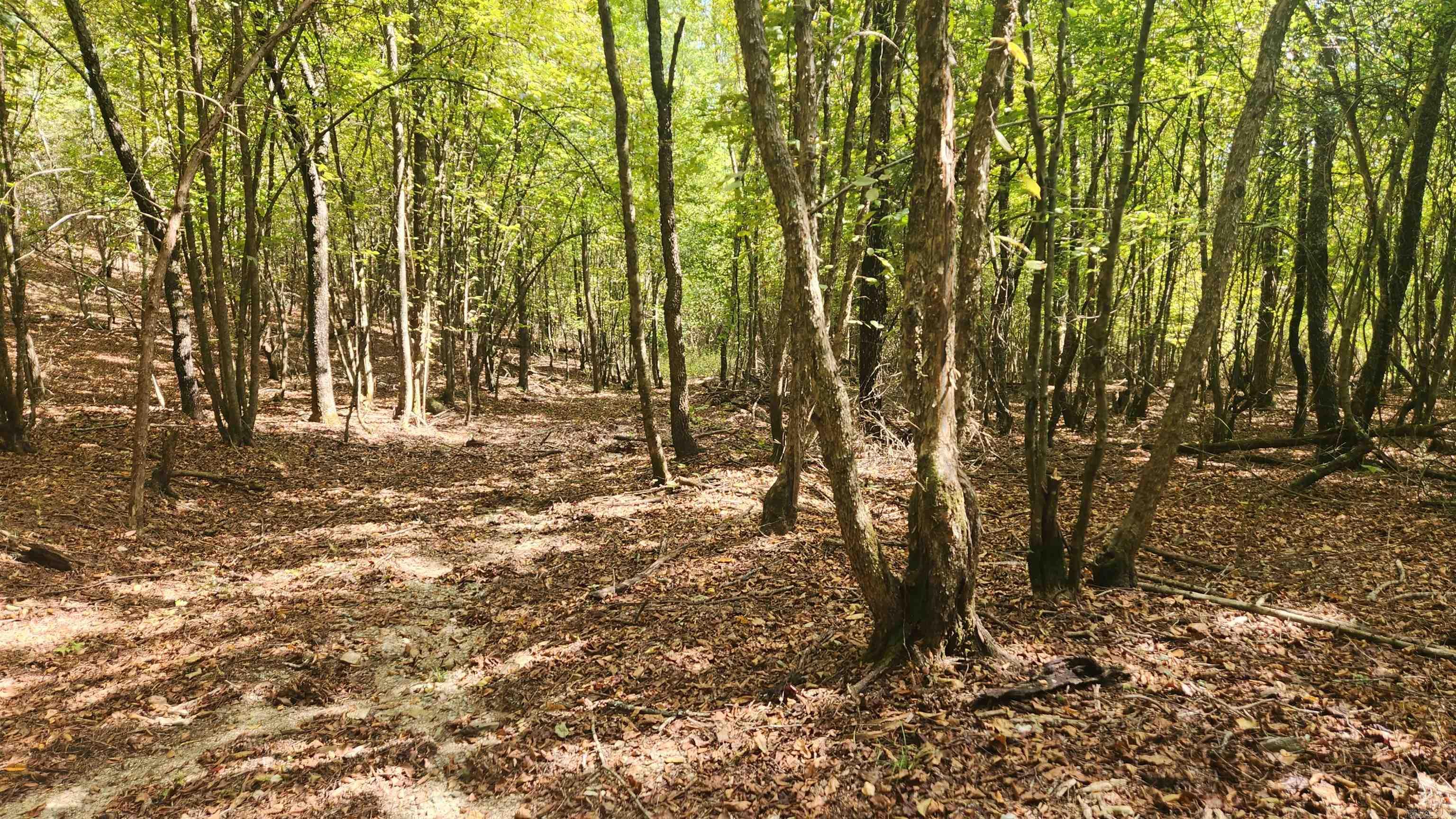 REVAS RETREAT - Land