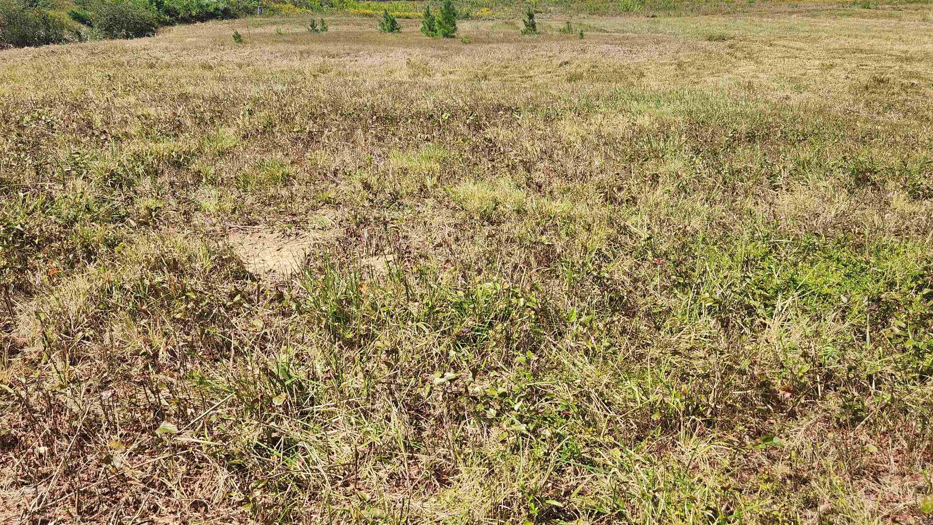 REVAS RETREAT - Land