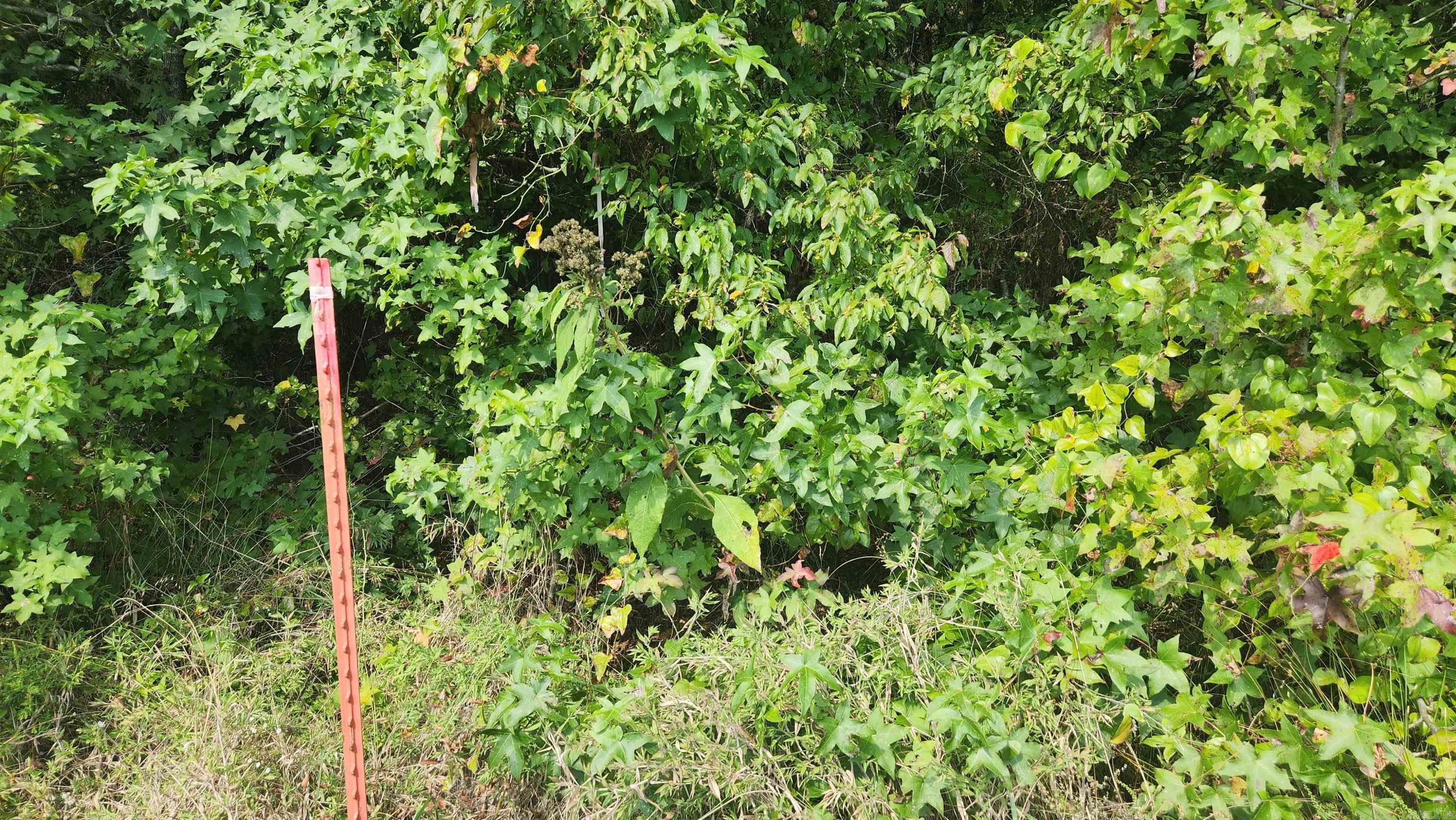 REVAS RETREAT - Land