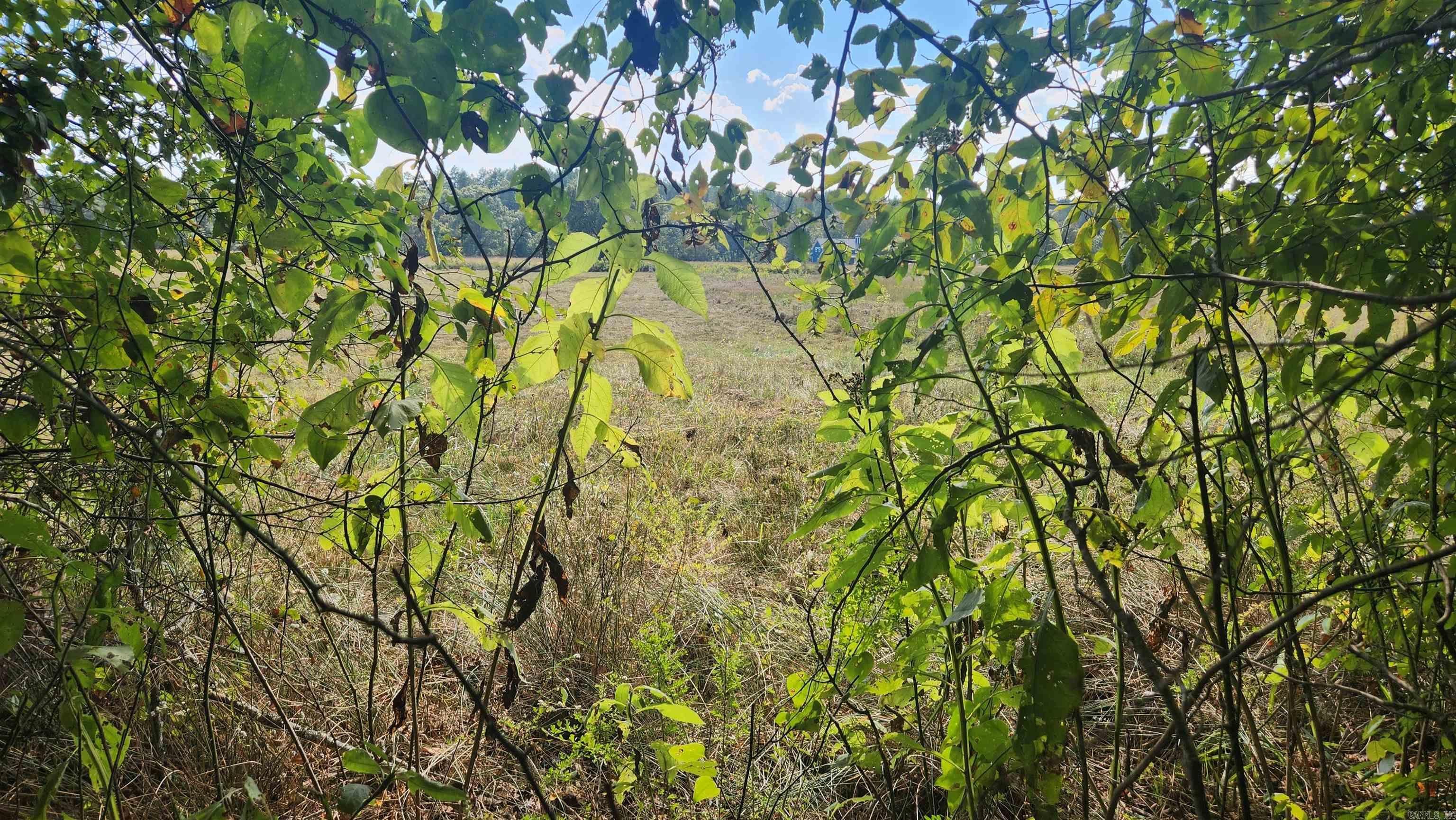 REVAS RETREAT - Land