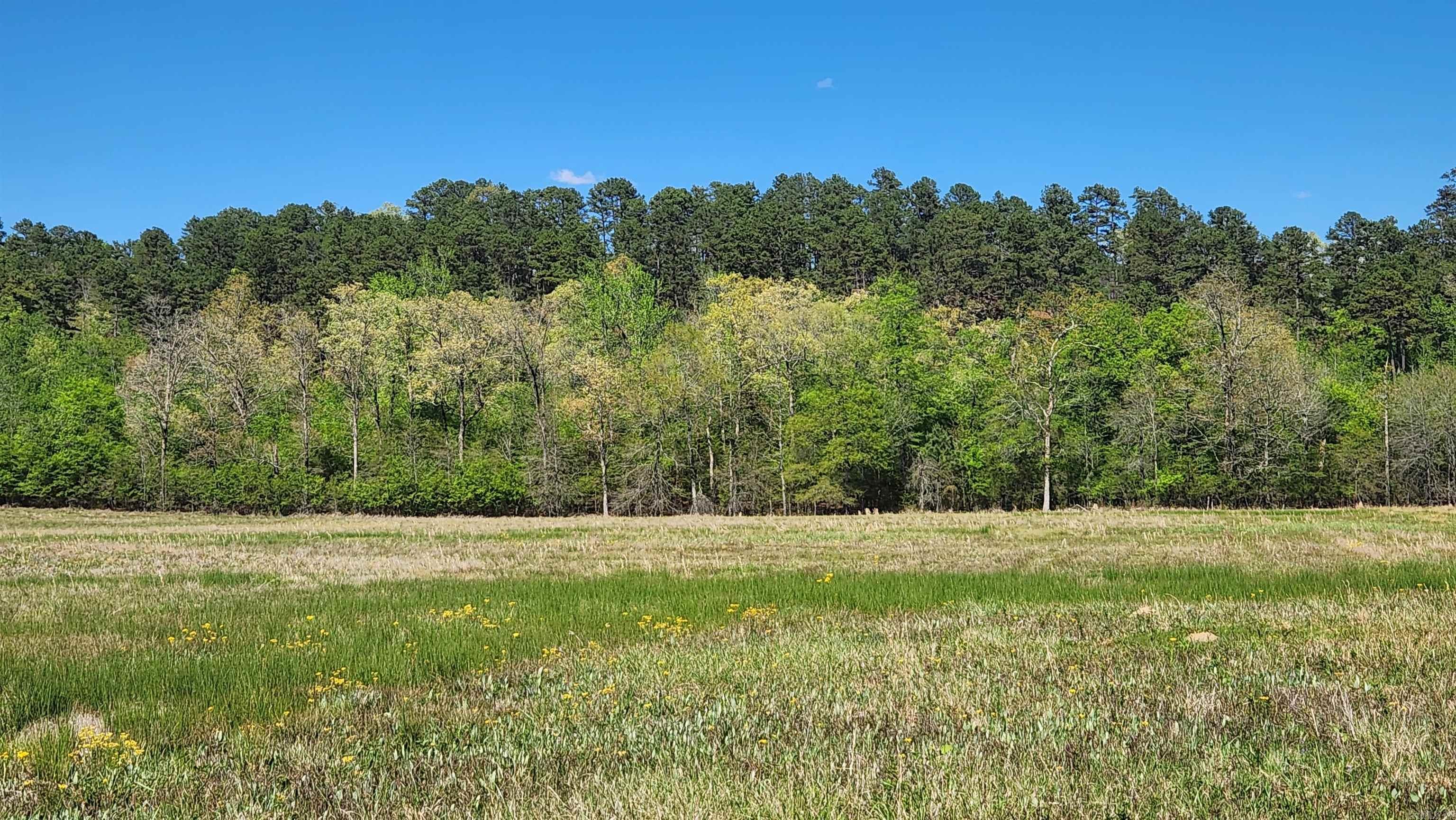 REVAS RETREAT - Land