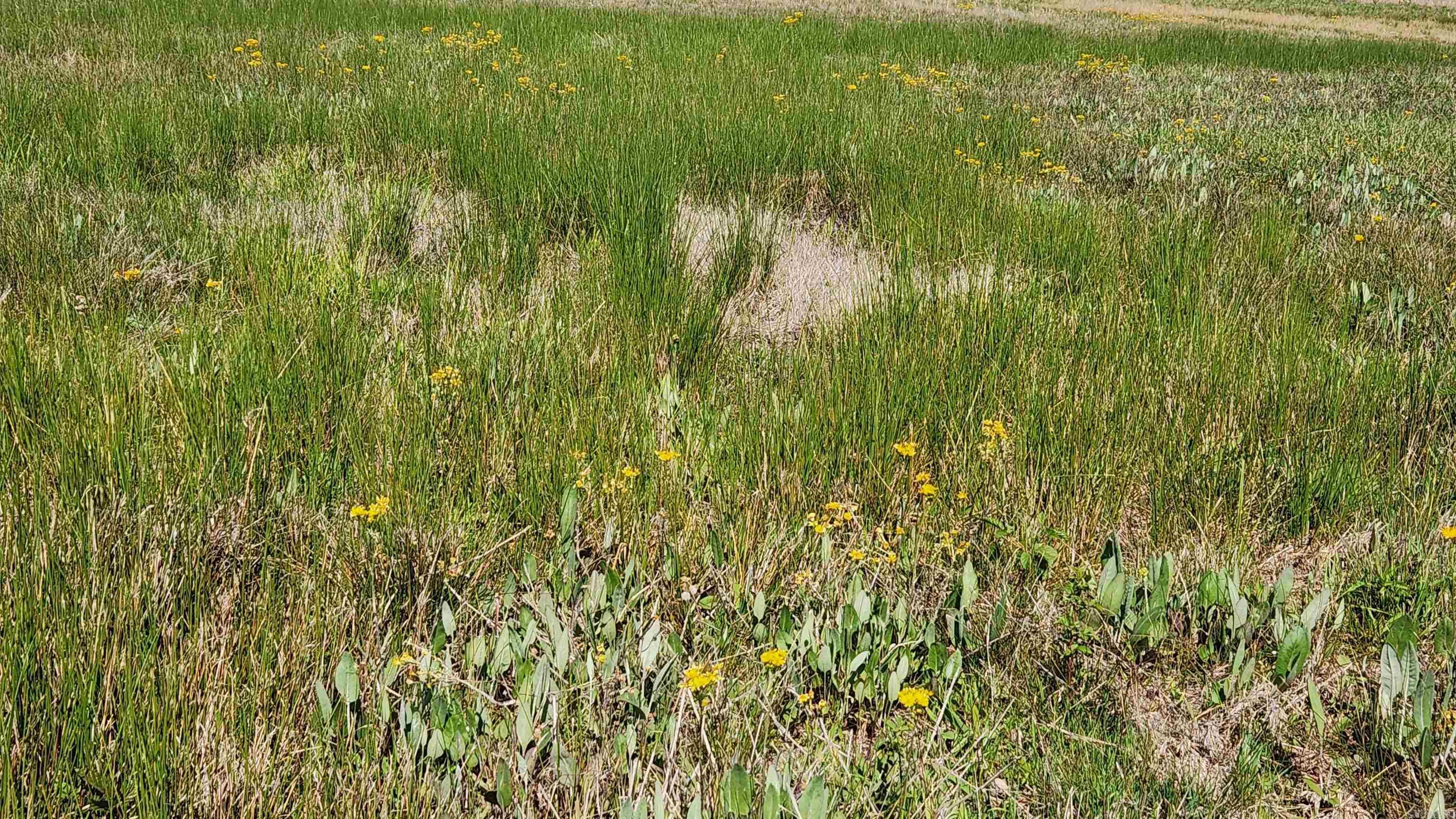 REVAS RETREAT - Land