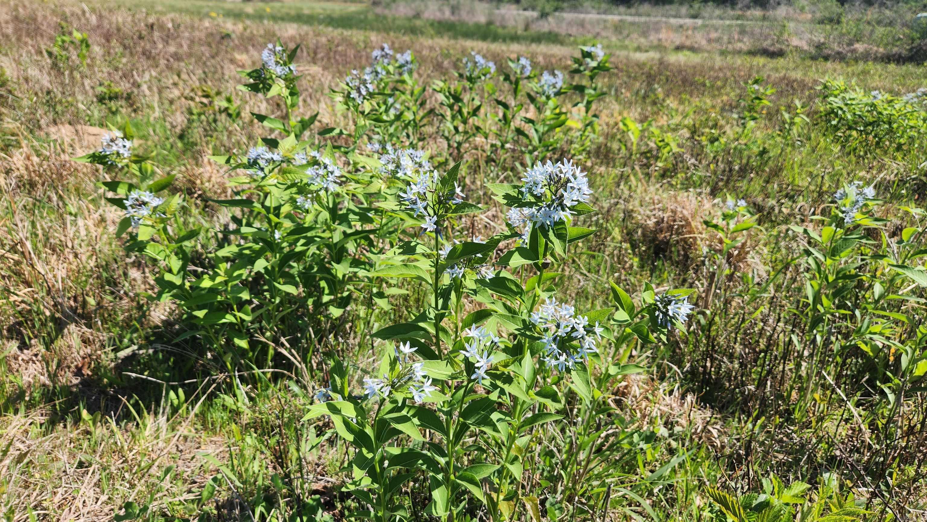 REVAS RETREAT - Land