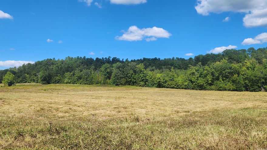 Ouachita National Forest borders this 6.02 acre tract on the north side. Located in the tranquility of Reva's Retreat just off Highway 298 in Story AR it is about 1 mile to Lake Ouachita. This peaceful community is completely surrounded by Ouachita National Forest and is stone's throw away from the common area for access to Irons Fork Creek. Irons Fork is a large year-round creek where one can fish or float. Underground electric is available. There is plenty of space to build your dream home and vast sky to see the stars at night. If you choose, you can also nestle a cabin in the woods. Let us give you the opportunity to view this property.