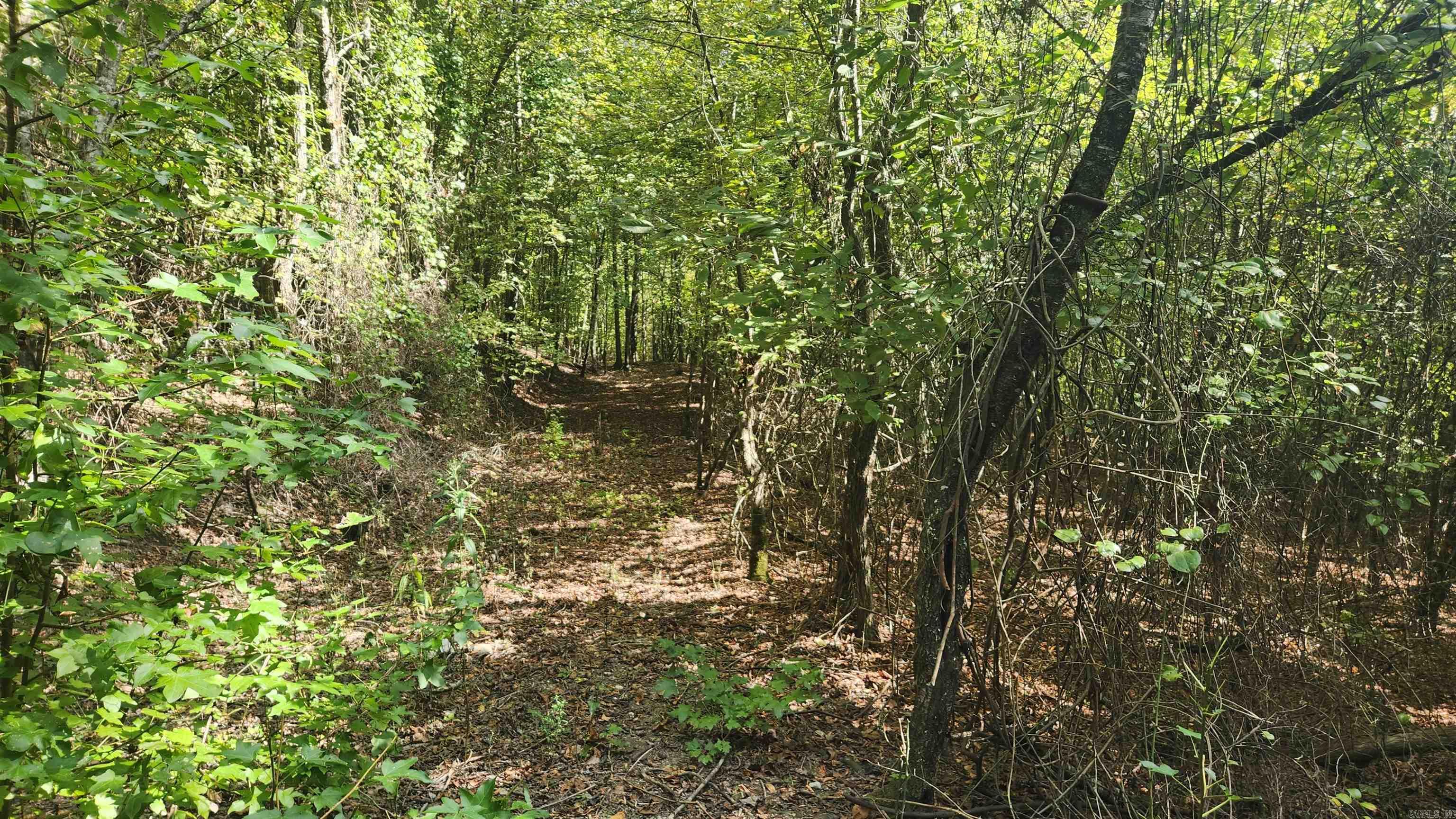 REVAS RETREAT - Land