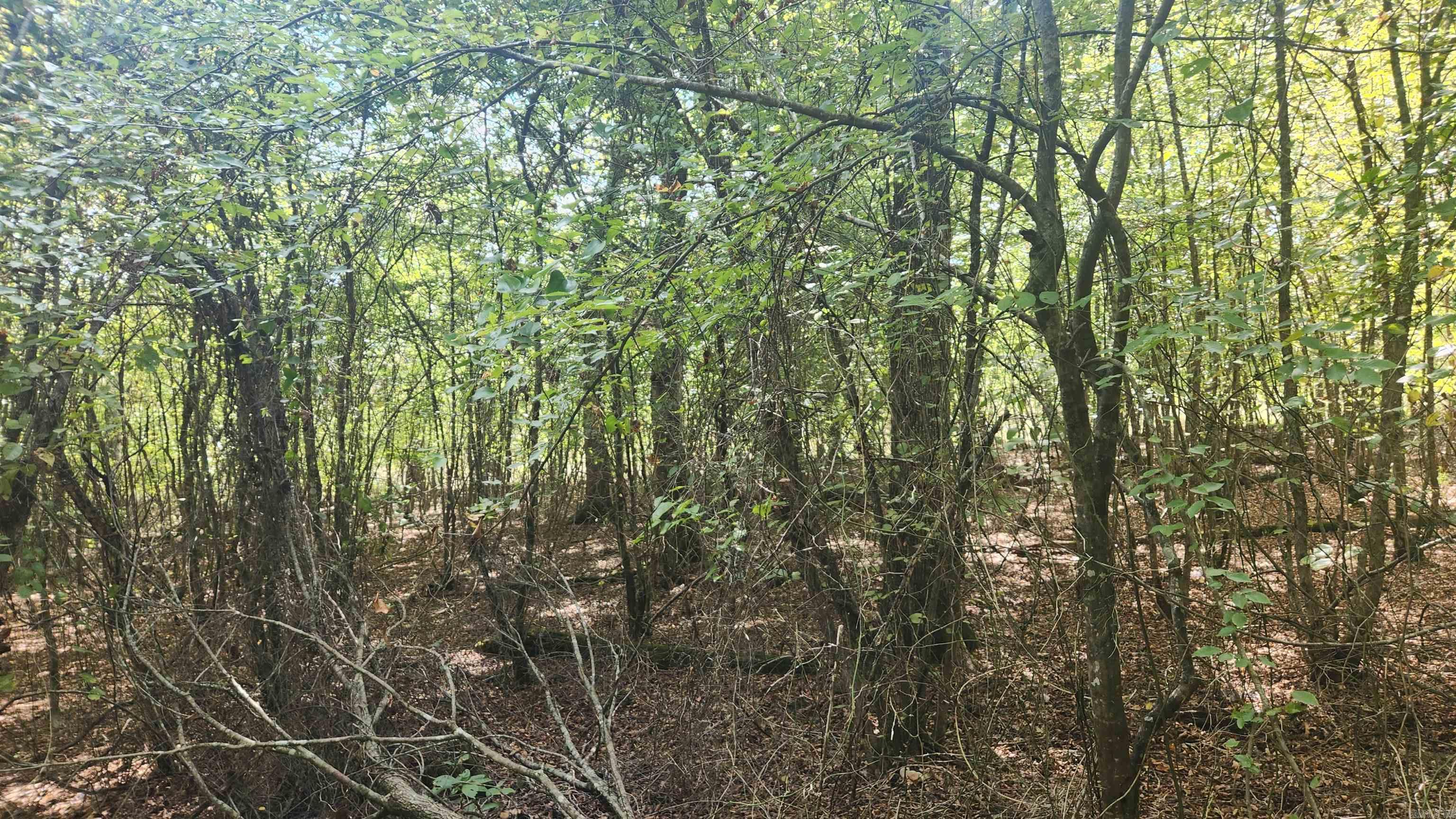 REVAS RETREAT - Land