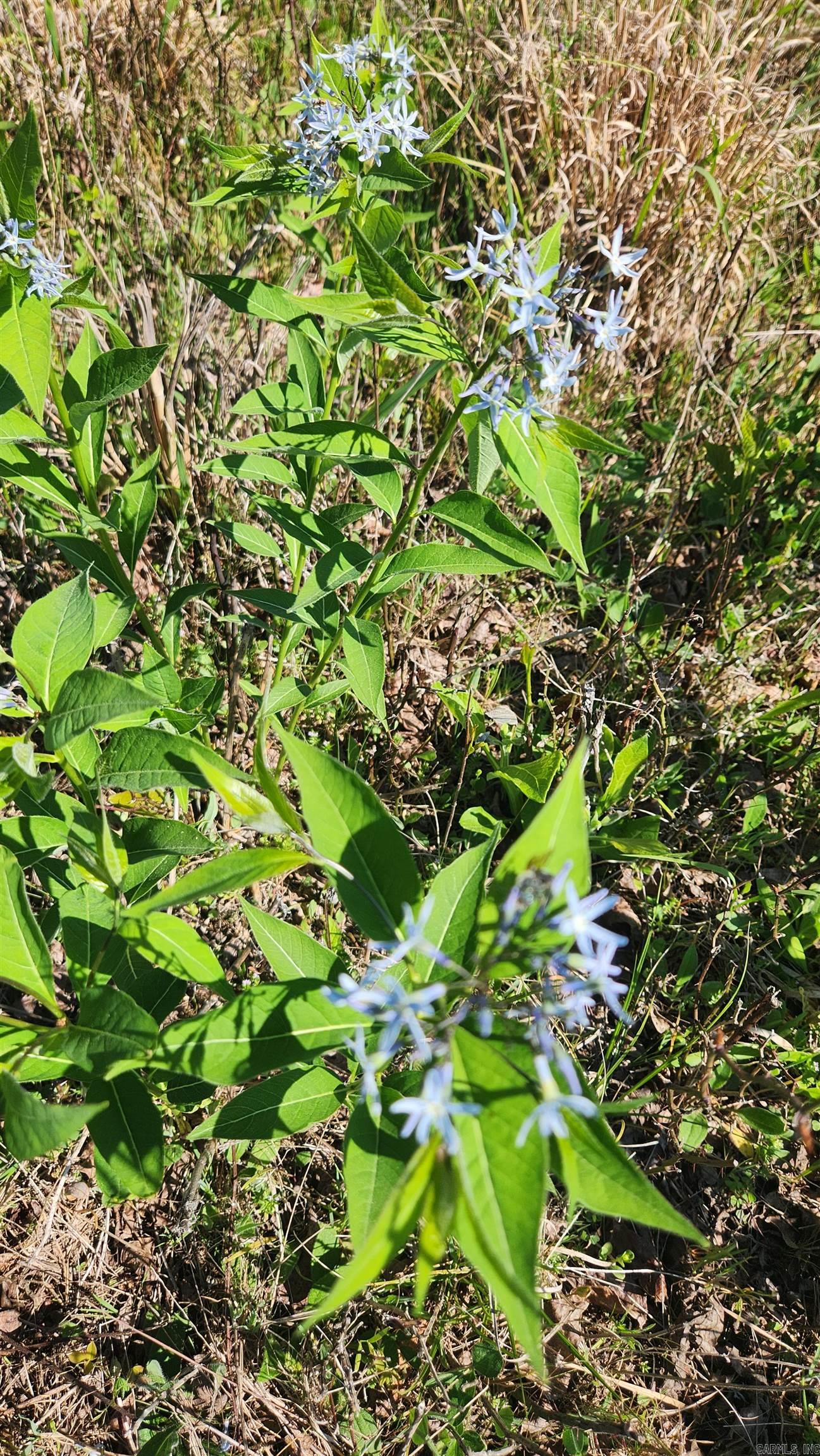 REVAS RETREAT - Land