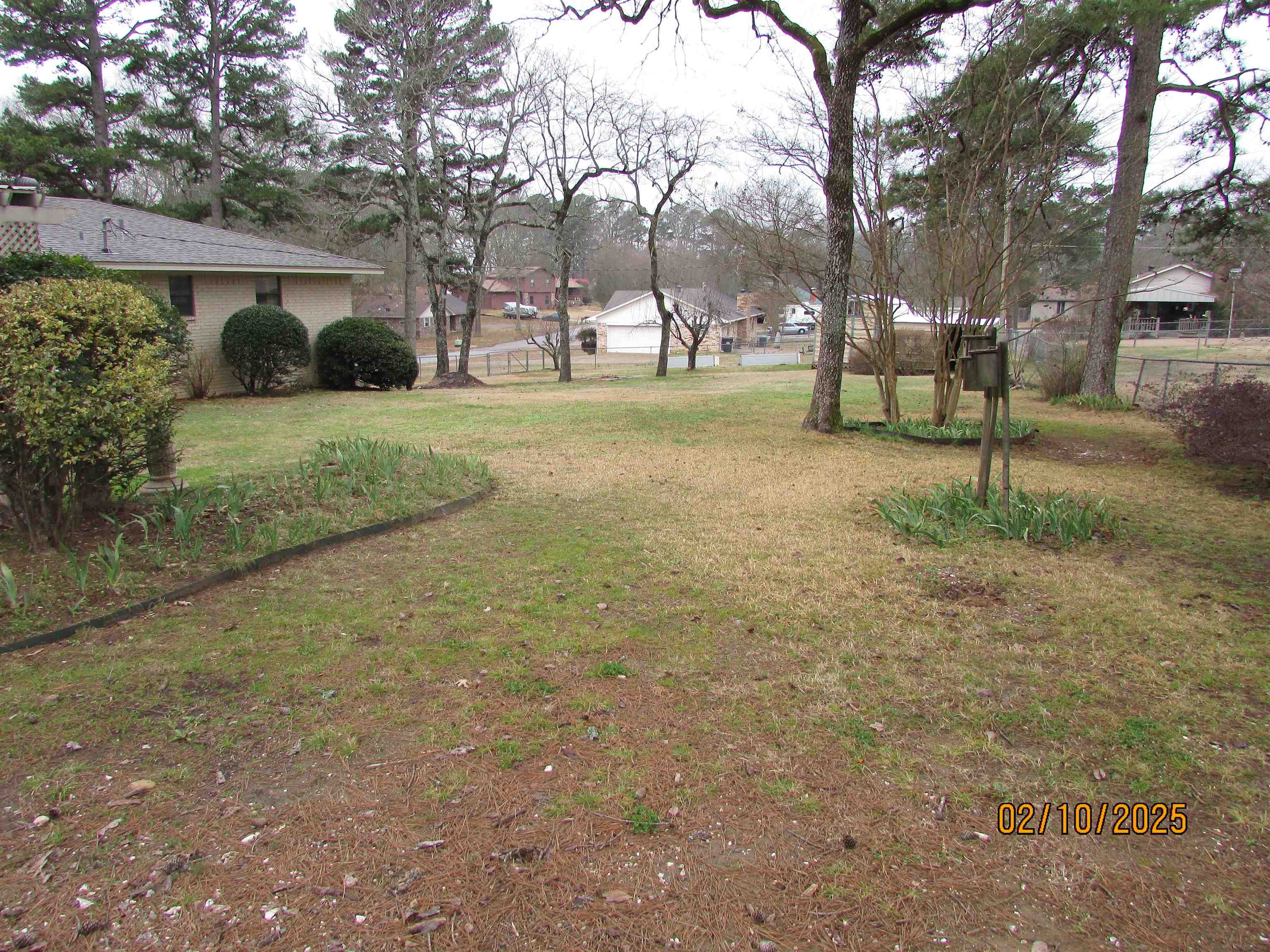 PINE FOREST - Residential