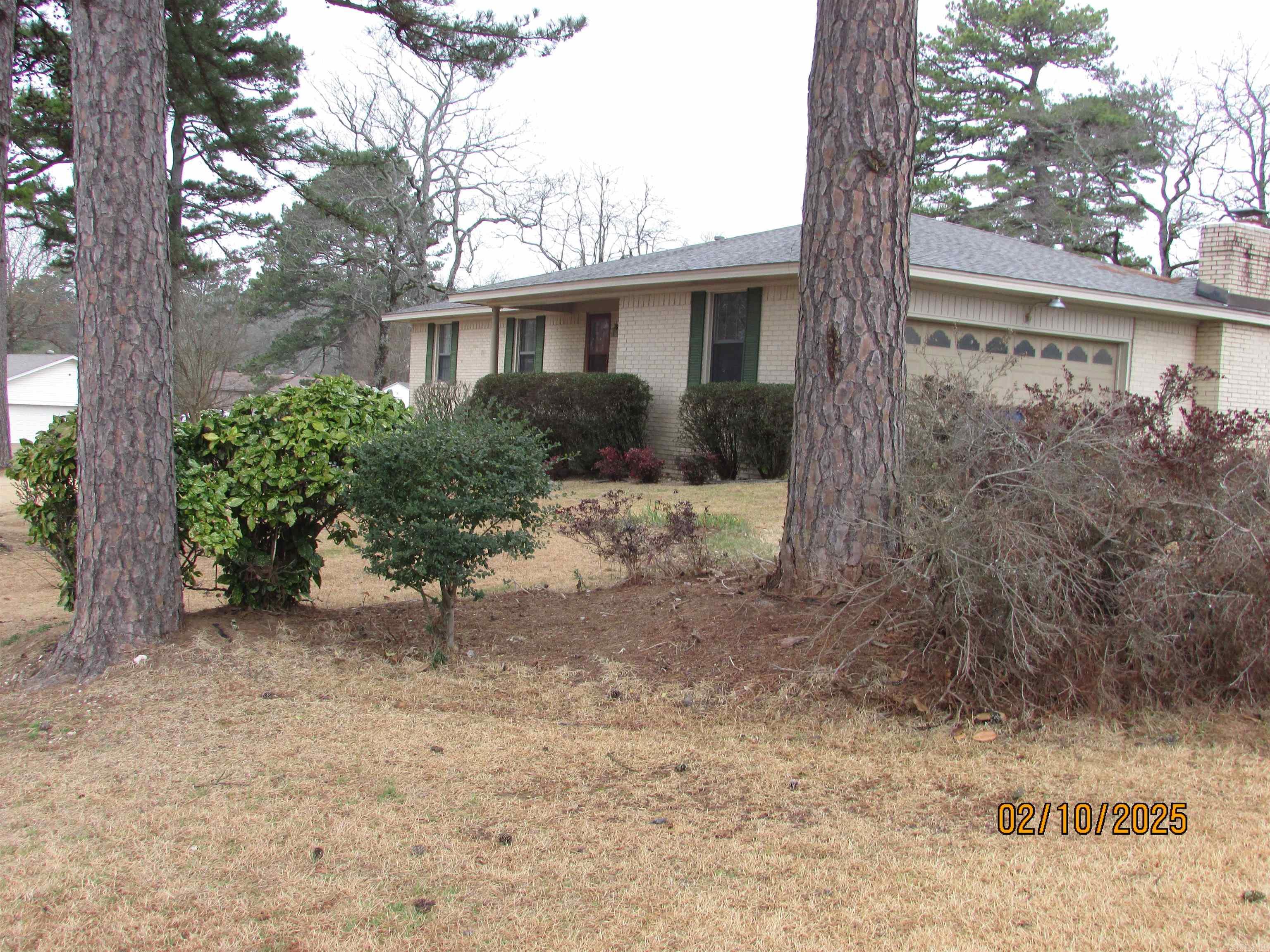 PINE FOREST - Residential