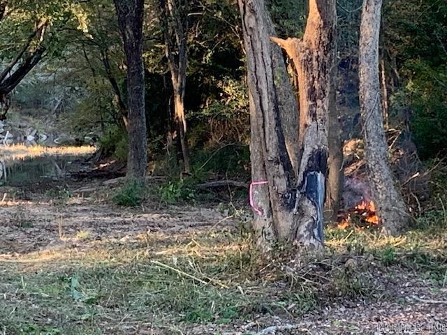 Metes & Bounds - Farm