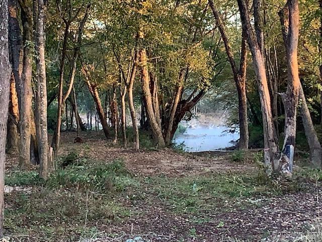 Metes & Bounds - Farm