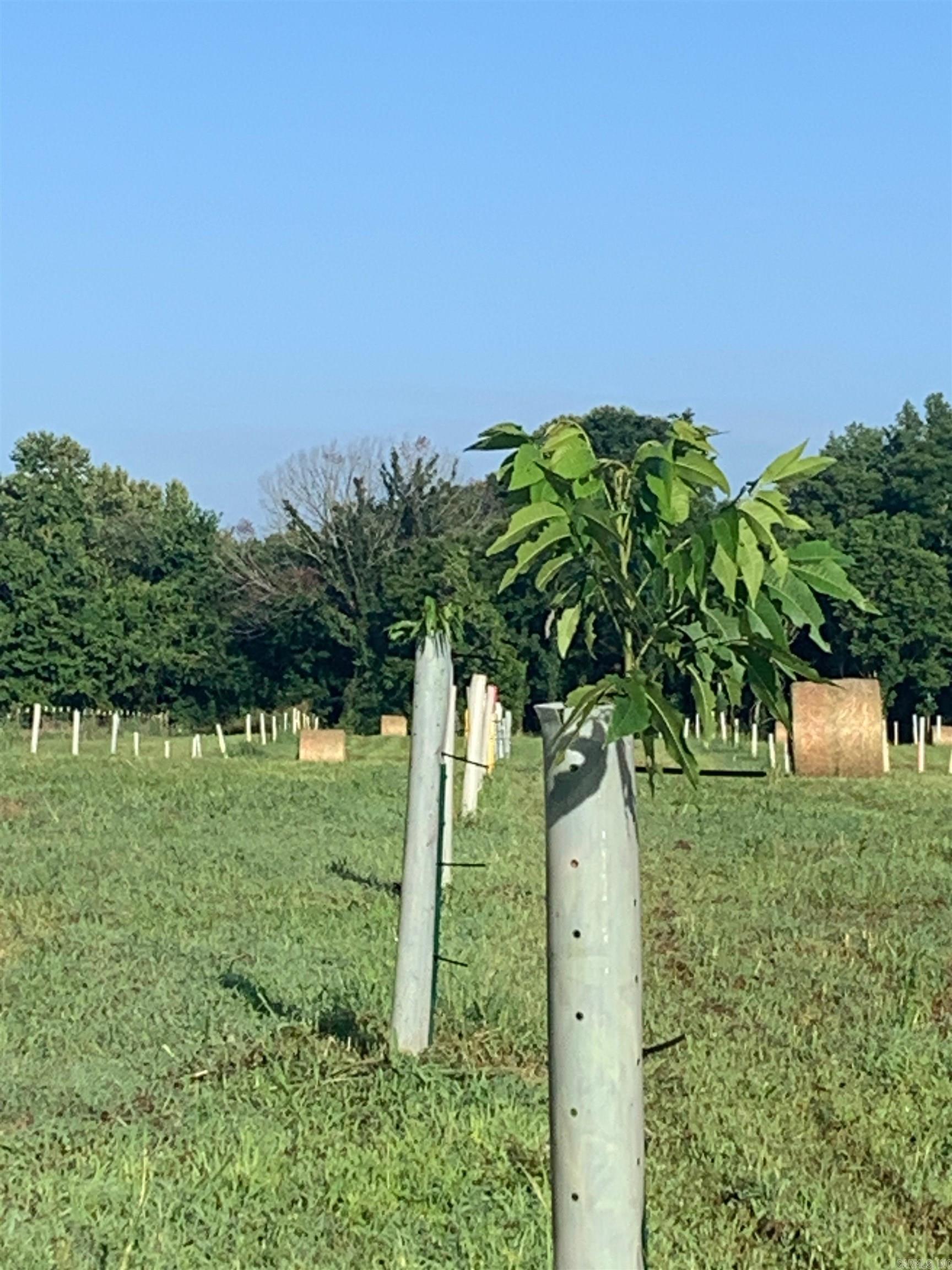 Metes & Bounds - Farm