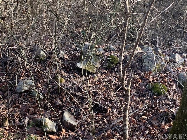 Metes & Bounds - Farm