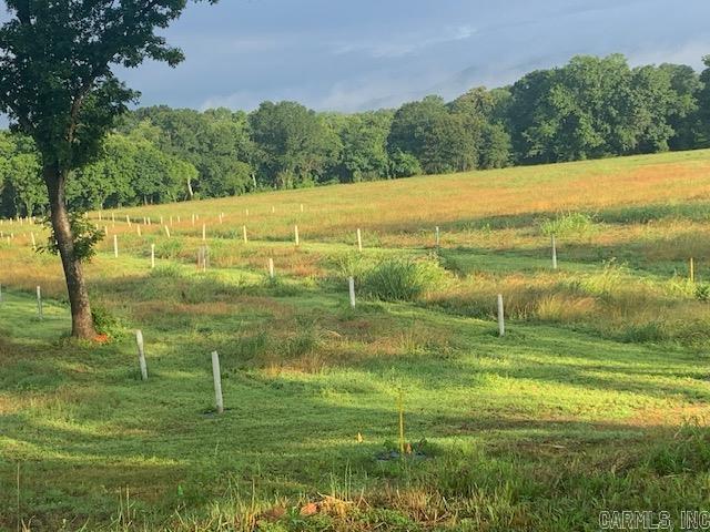 Metes & Bounds - Farm