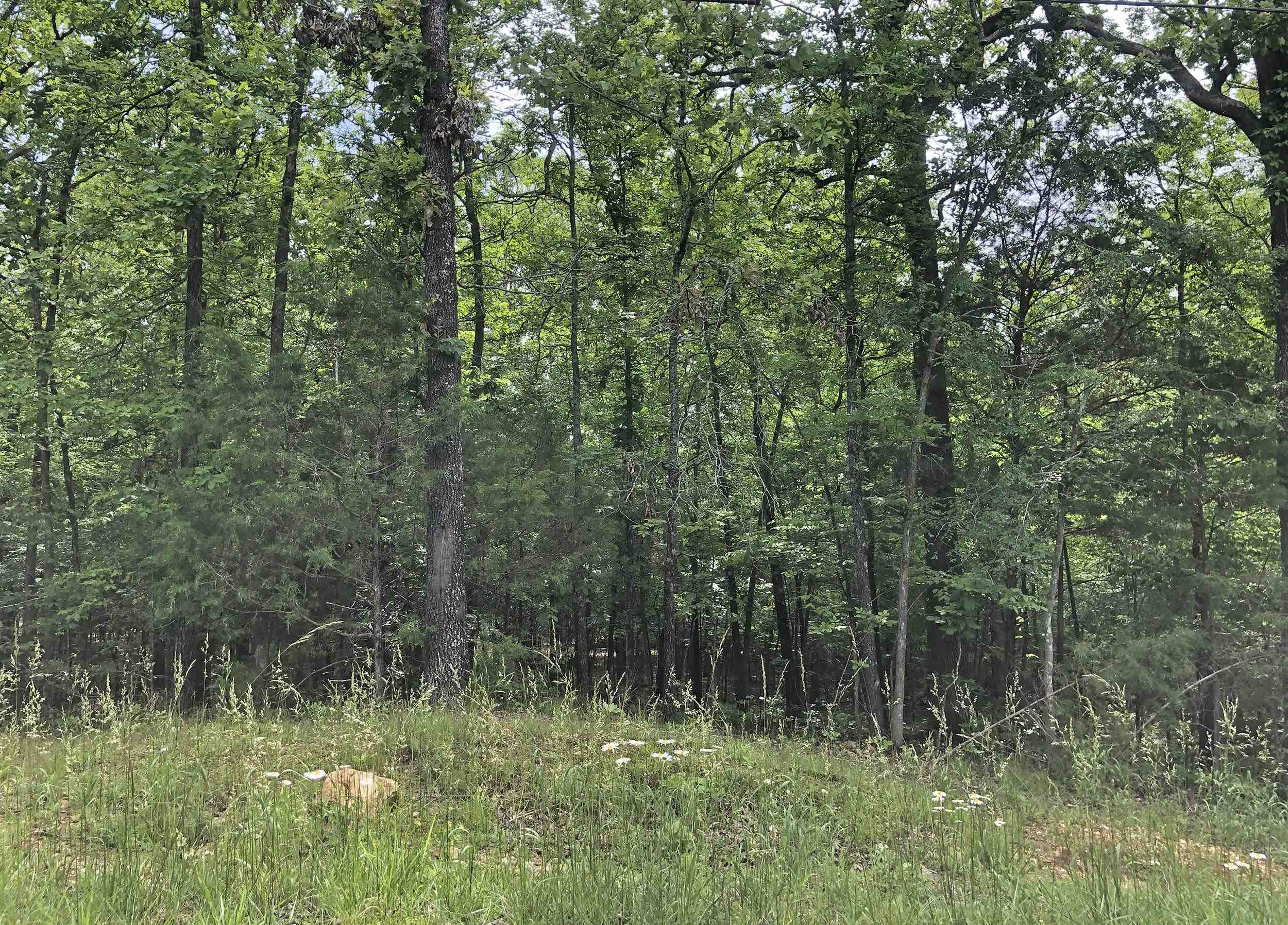Three lots Overlooking Lake Thunderbird. These 3 lots are located across the street from Lake Thunderbird and each one would make a great home building site. Together there is plenty of room to build your custom home and wakeup every morning to this beautiful lake view.