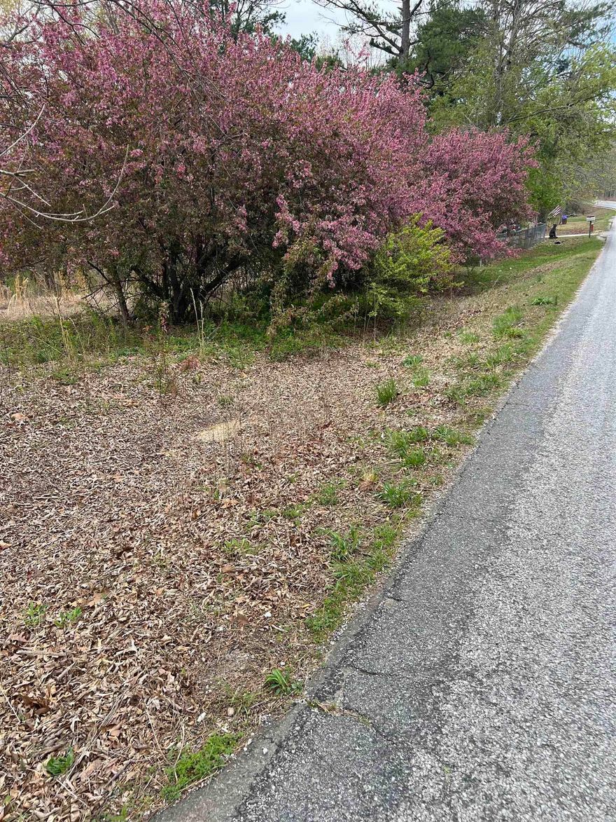 Location, Location!!!! Own your place in the Ozarks, in Mountain View, Arkansas. This 1.13 acres has paved road frontage, and 2 bedroom septic system already in place for your RV, or tiny house. Large shade tree to sit under and enjoy the property. Did I mention there are no restrictions, and five minutes to shopping, music on the square, the Ozark Folk Center, and the White River.