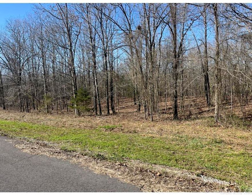 Beautiful 2 acre wooded lot with creek in the back and located within a gated community just North of the growing town of Cabot.  This is a very buildable lot! Call listing agent for more information and access through the gates.