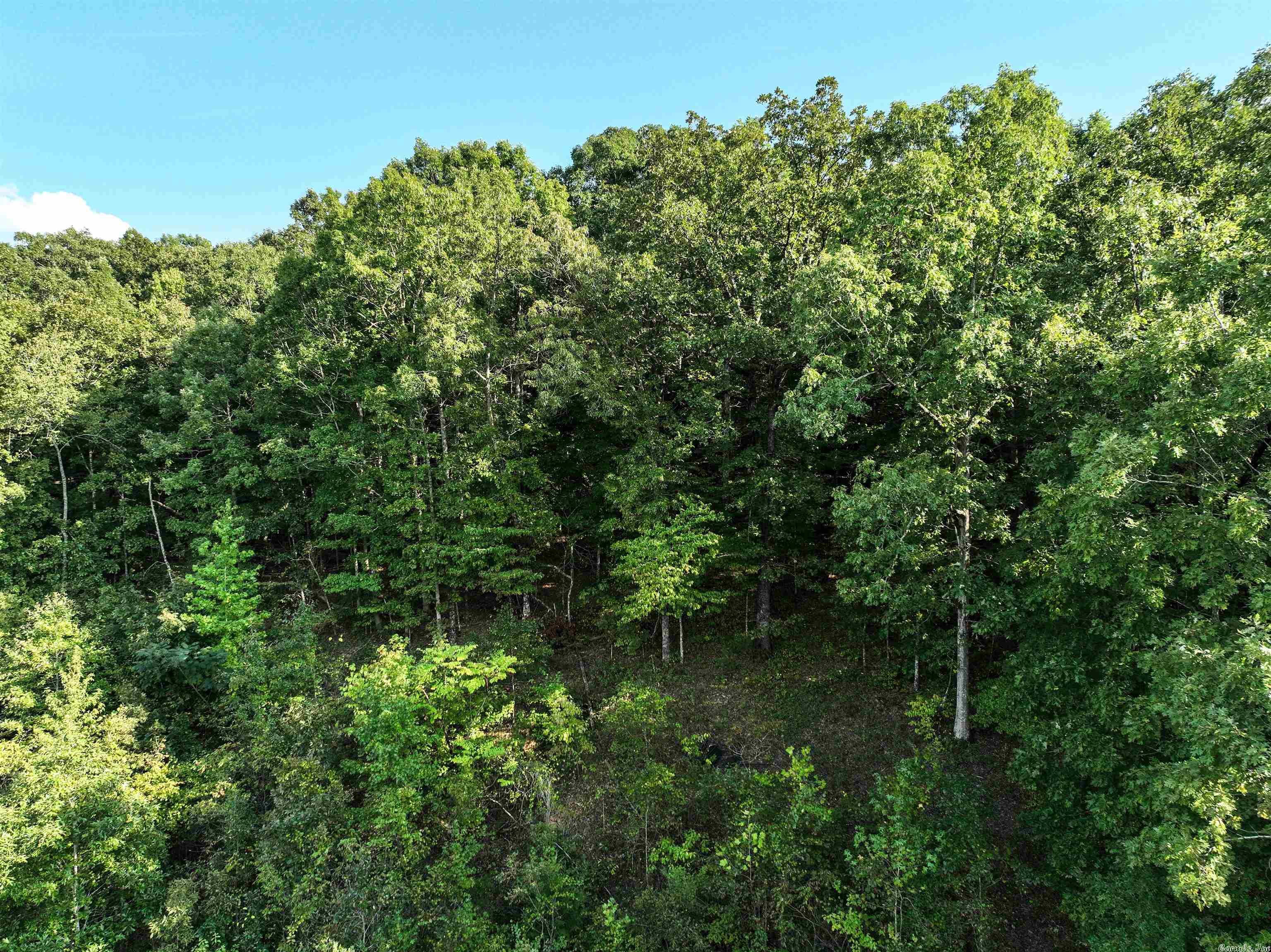 Mountain Ranch Estates - Land