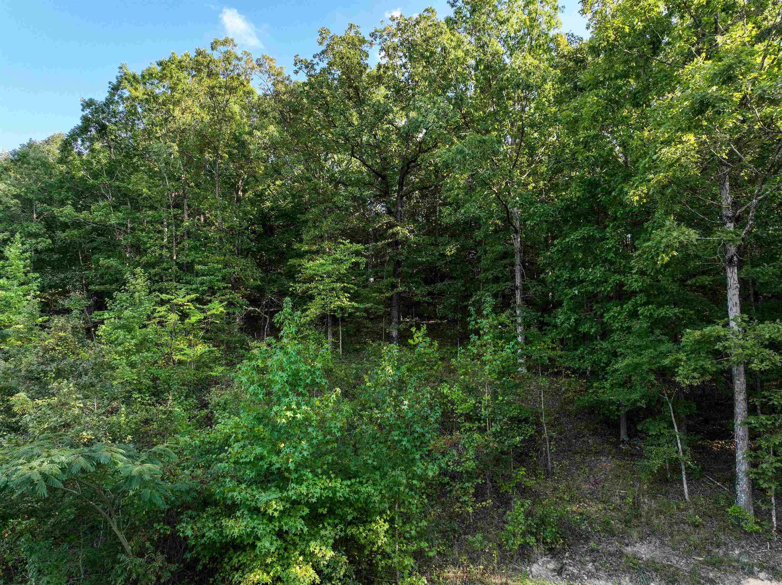 Mountain Ranch Estates - Land