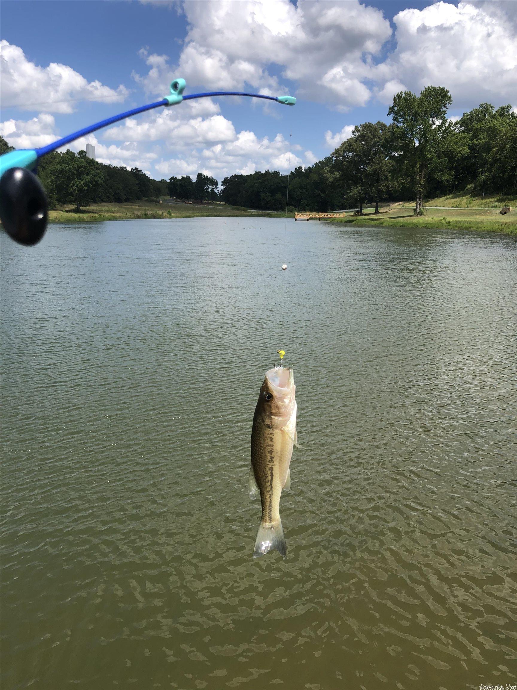 Mountain Ranch Estates - Land