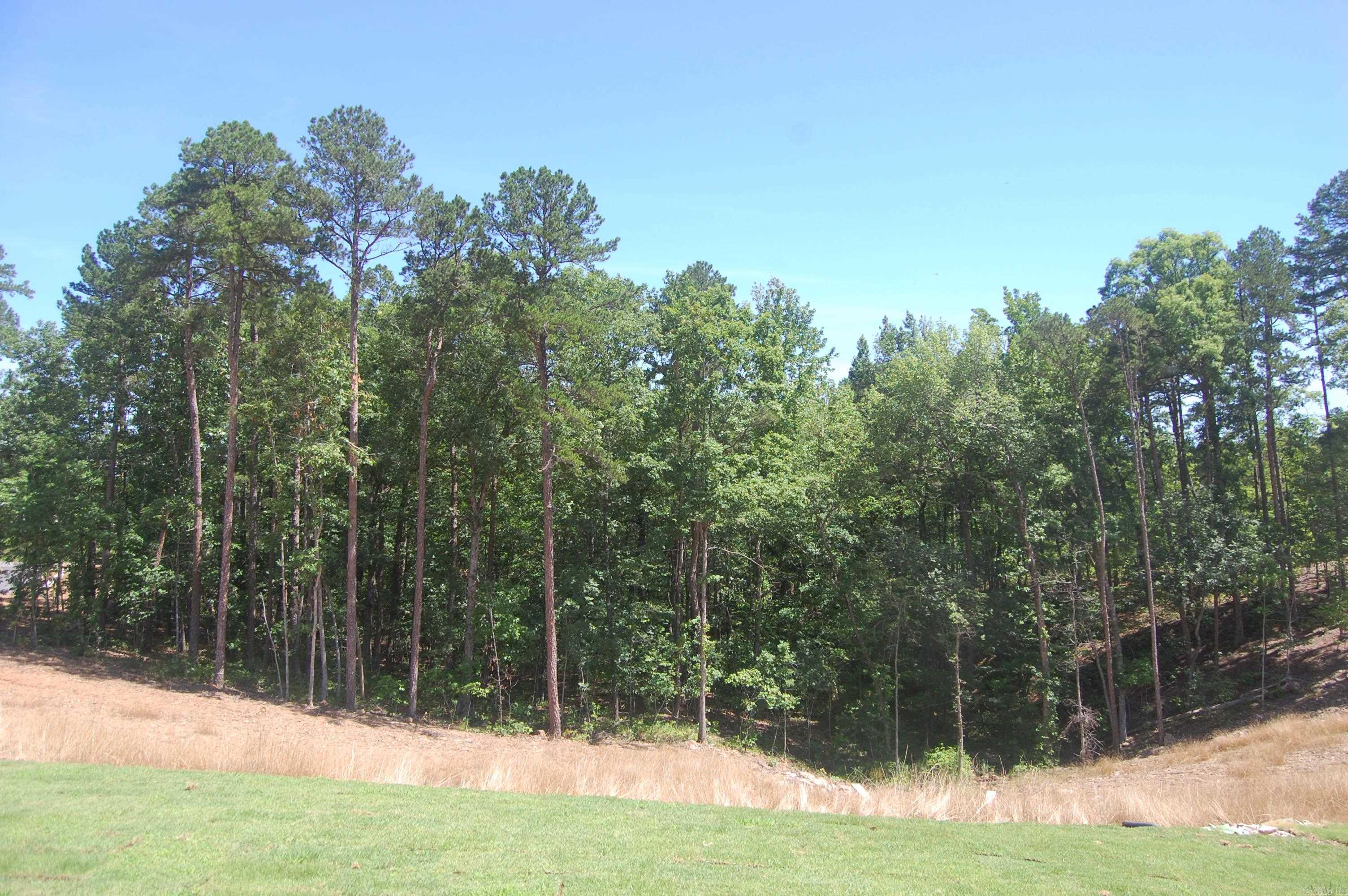 CHENAL VALLEY CALION COURT - Residential