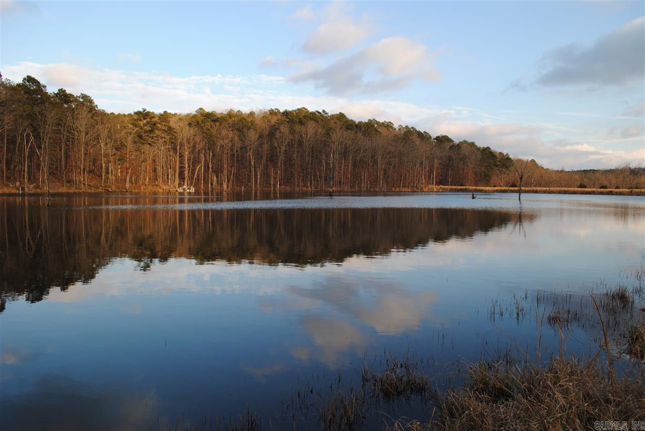 Leave AR Hwy 5 onto a drive that runs past a beautiful rock bluff to a 2200āx120ā turf runway that's easily accessed from a 3 bed 2 bath farm house with 40x40 basement. Soaring views, 422 acres of hay fields and pasture that is fenced and cross fenced, 10 ponds including a 9.5 ac. lake that are all stocked with fish and are strategically located across the farm. 567 ac. of mature pine and hardwood timber are full of deer and turkey. 80x60 hangar with remote control door, new 70X80 hay barn. MINERALS CONVEY