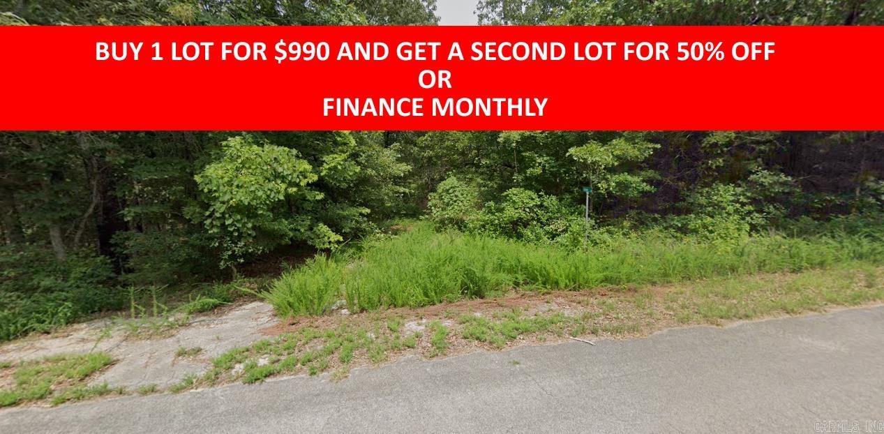 Buy one lot and get 50% off an additional lot! Owner-finance for easy terms. Cash buyers can pay by debit or credit card as well. Nice lot to develop or hold for future value. Public water and electric are available to run to property and will need septic. Owner/agent. No mobiles allowed. 600-2500 minimum build size on any other type of home, depending on subdivision. Finance is $100 down and 10 months at $99 and closing costs are included. Lots marked with red banner are part of promotion. No limit on lots. Buyer responsible for any/all taxes and lots sold "as-is". Quit claim deed conveys. Parcel ID# 215-14160-000