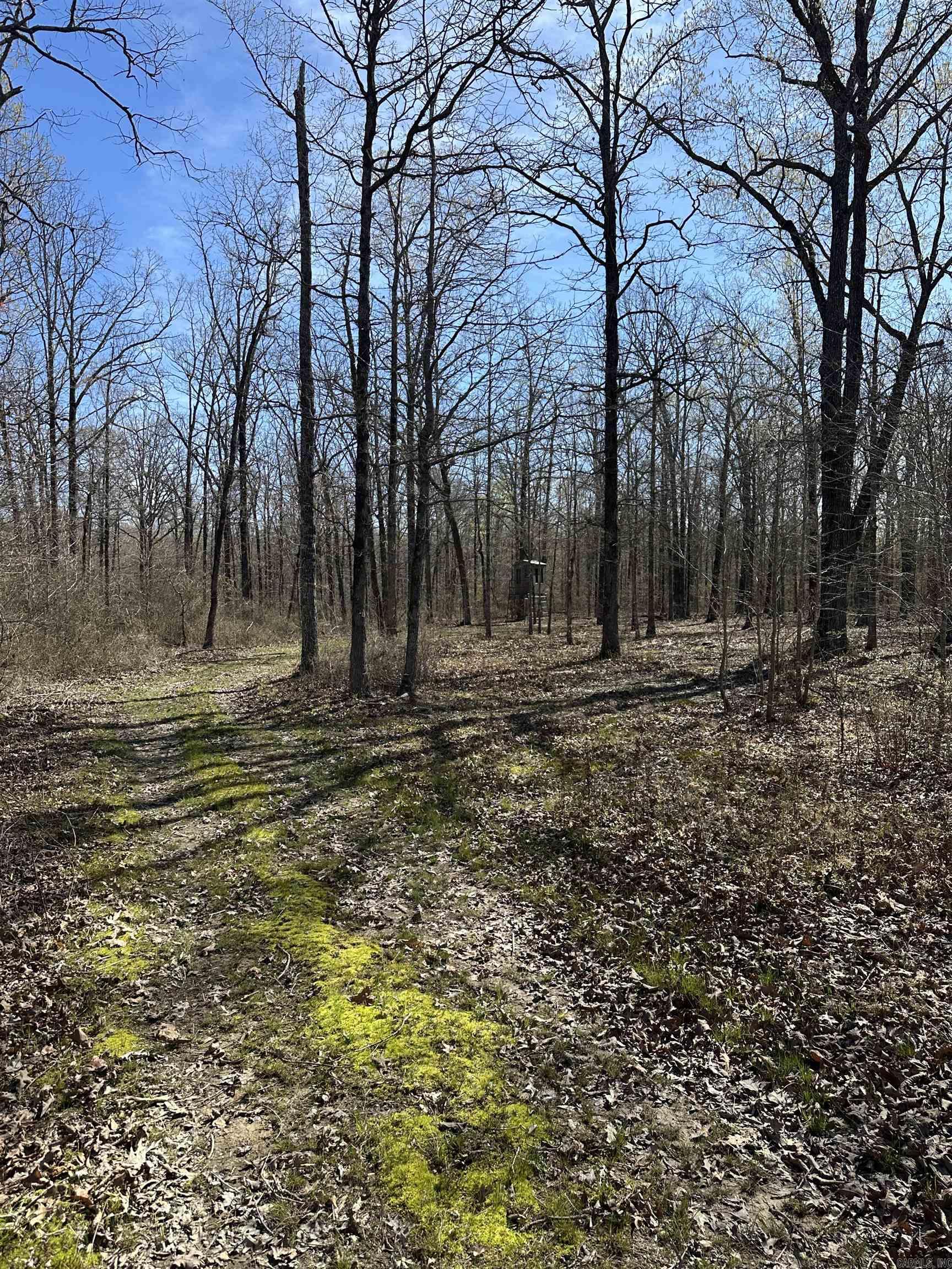 Not in Subdivision - Land