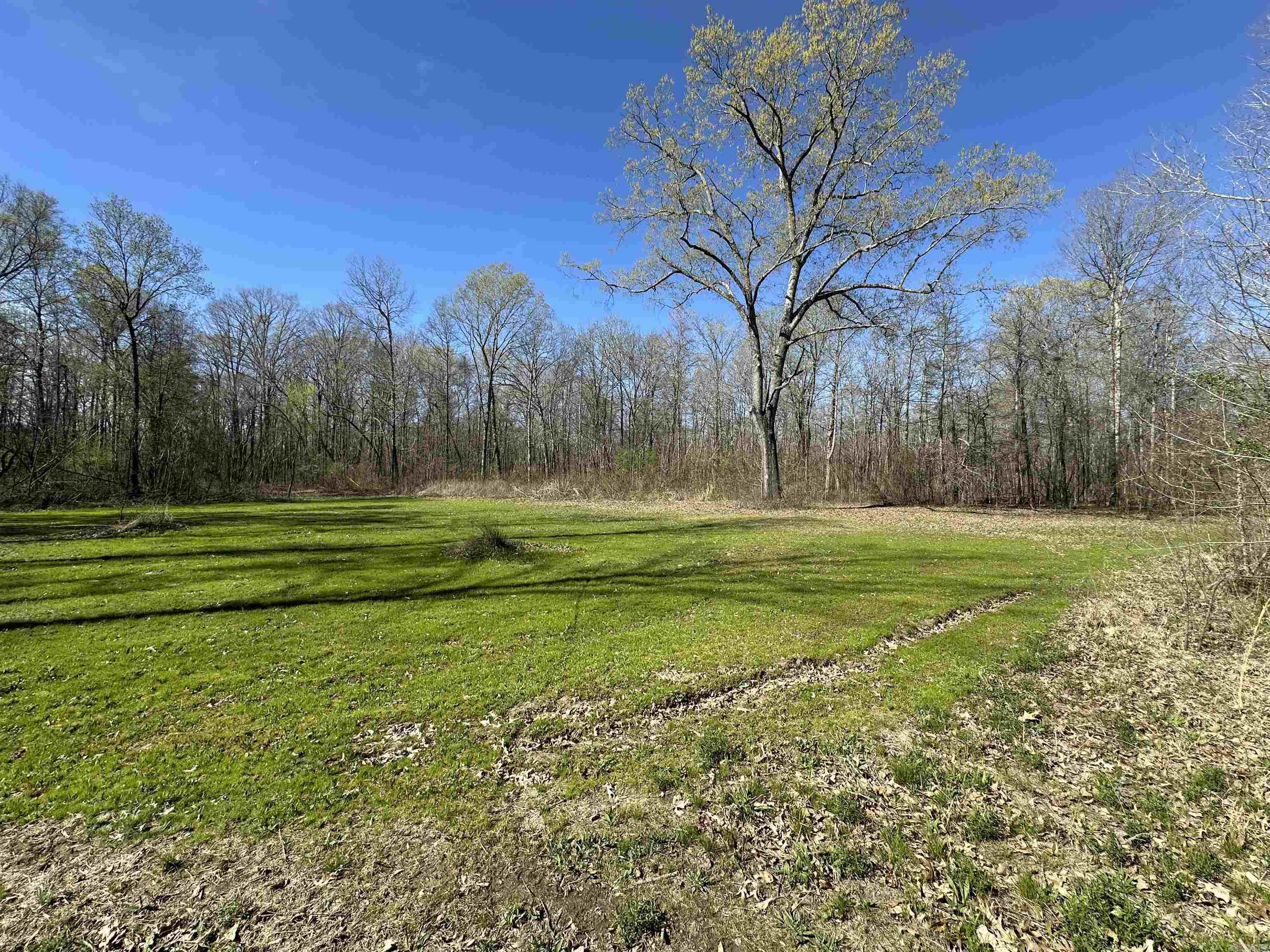 Cane Creek Woods offers a rare combination of trophy deer hunting, turkey, and waterfowl. This diverse property in close proximity to Searcy, Beebe, Cabot, and Little Rock not only offers an exceptional recreational tract but also a great investment for future development. A paved county road with both electric and water available, gated entry, and multiple building spots creates the perfect location to build your dream home or cabin. Maintained trails create easy access through the property and developed food plots with tower blinds and lock on stands have been strategically placed for deer hunting. Cane Creek is located near the back of this property and offers year round fishing and the opportunity to hunt waterfowl in the winter months especially when the creek floods out into the creek bottoms creating the possibility for green timber duck hunting. This property is an outdoor enthusiast dream with all that it has to offer and is a must see.