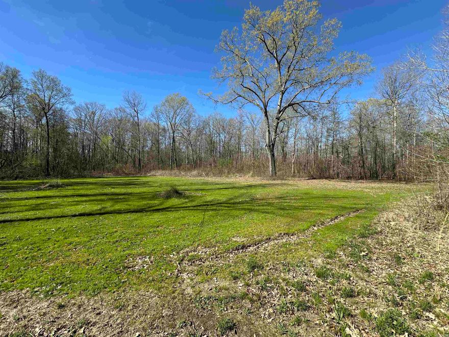 Cane Creek Woods offers a rare combination of trophy deer hunting, turkey, and waterfowl. This diverse property in close proximity to Searcy, Beebe, Cabot, and Little Rock not only offers an exceptional recreational tract but also a great investment for future development. A paved county road with both electric and water available, gated entry, and multiple building spots creates the perfect location to build your dream home or cabin. Maintained trails create easy access through the property and developed food plots with tower blinds and lock on stands have been strategically placed for deer hunting. Cane Creek is located near the back of this property and offers year round fishing and the opportunity to hunt waterfowl in the winter months especially when the creek floods out into the creek bottoms creating the possibility for green timber duck hunting. This property is an outdoor enthusiast dream with all that it has to offer and is a must see.