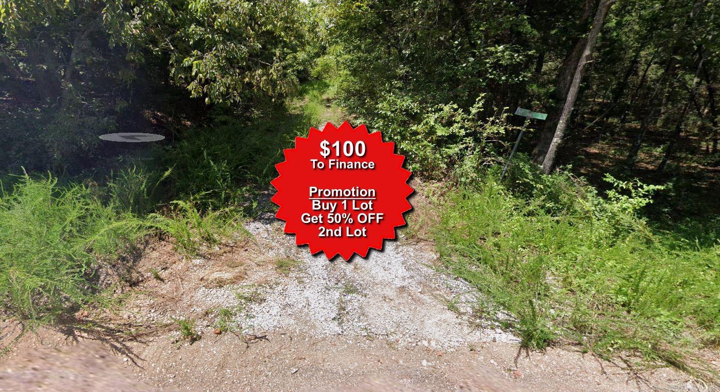 Buy one lot and get 50% off an additional lot! Owner-finance for easy terms. Cash buyers can pay by debit or credit card as well. Nice lot to develop or hold for future value. Public water and electric are available to run to property and will need septic. Owner/agent. No mobiles allowed. 300-2500 minimum build size on any other type of home, depending on subdivision. Finance is $100 down and 10 months at $99 and closing costs are included. Lots marked with red banner are part of promotion. No limit on lots. Buyer responsible for any/all taxes and lots sold "as-is". Quit claim deed conveys. Parcel ID# 305-17816-000