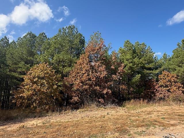 SUMMERLYN SUBDIVISION - Land