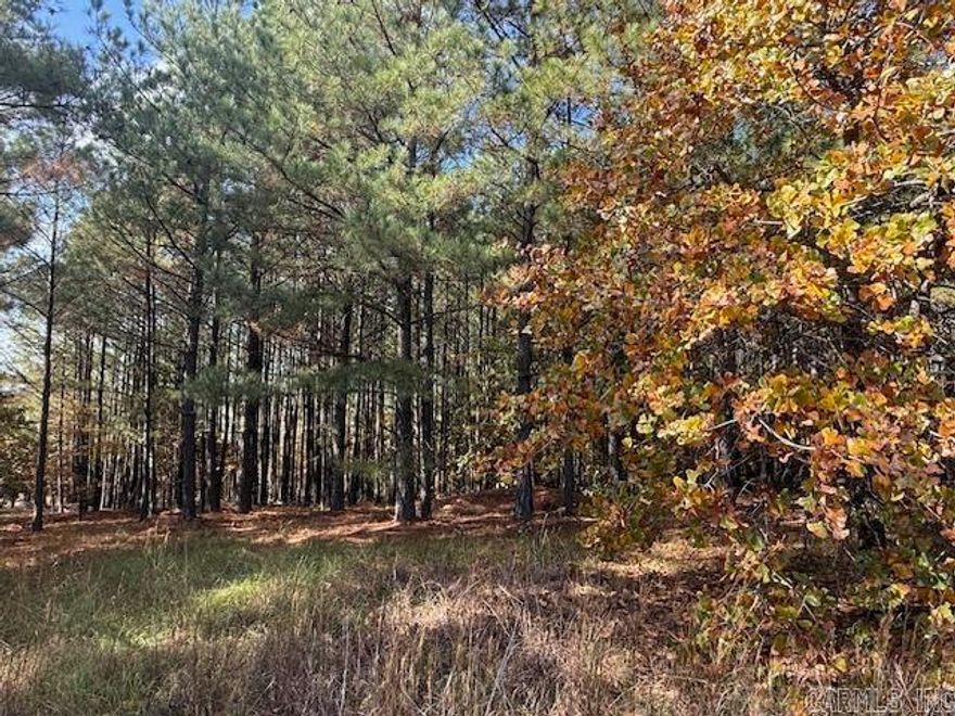 Wooded lot perfect for building your home or building a home to sale.  You could leave trees at the back of the lot for privacy.  All utilities are on the property. 1450 sq. ft. minimum